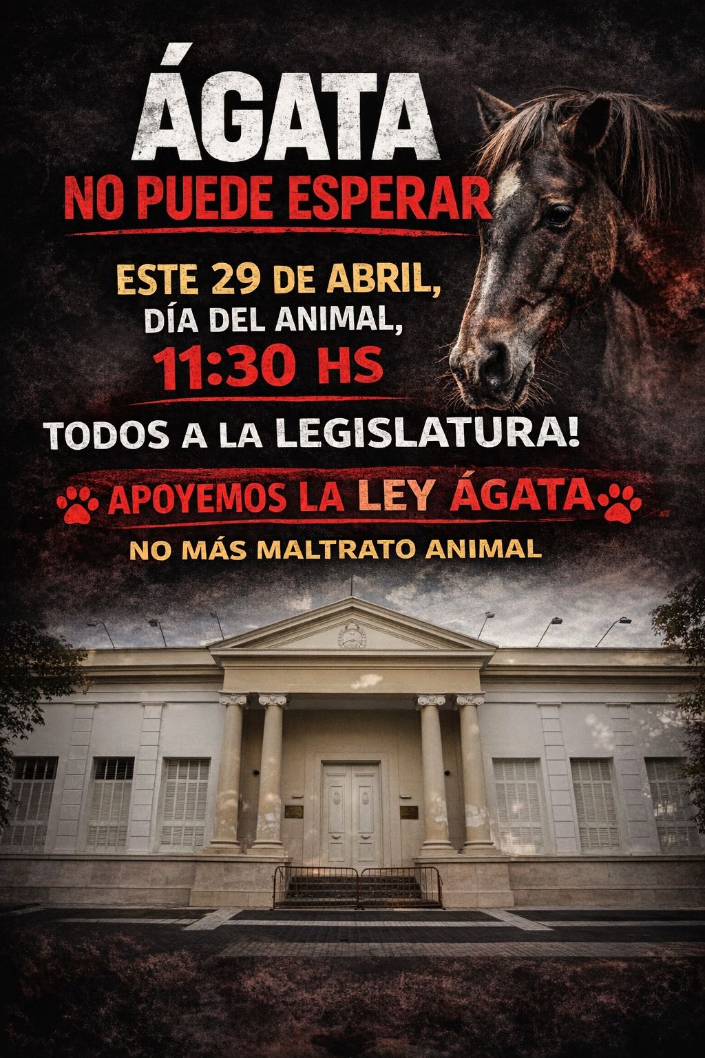 NO al maltrato animal 🚫 #LeyÁgata⚖️