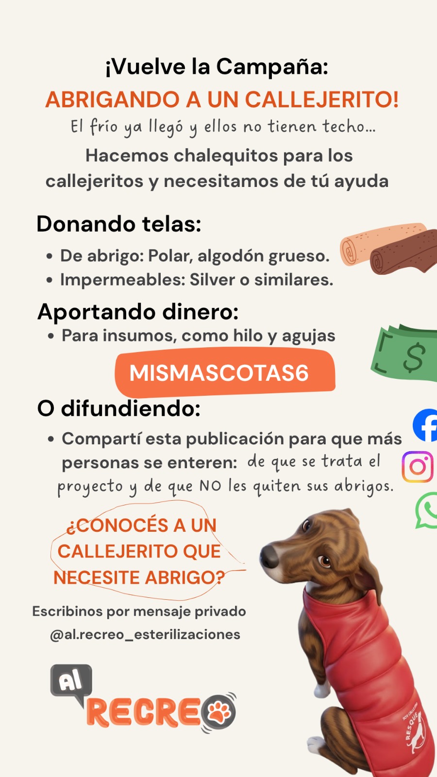 🐾 ABRIGANDO A UN CALLEJERITO 🧣🐶