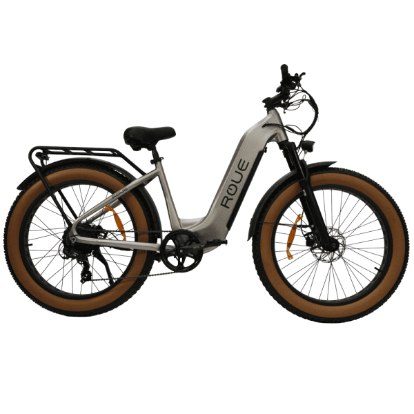 Bicicleta Eléctrica BAJA