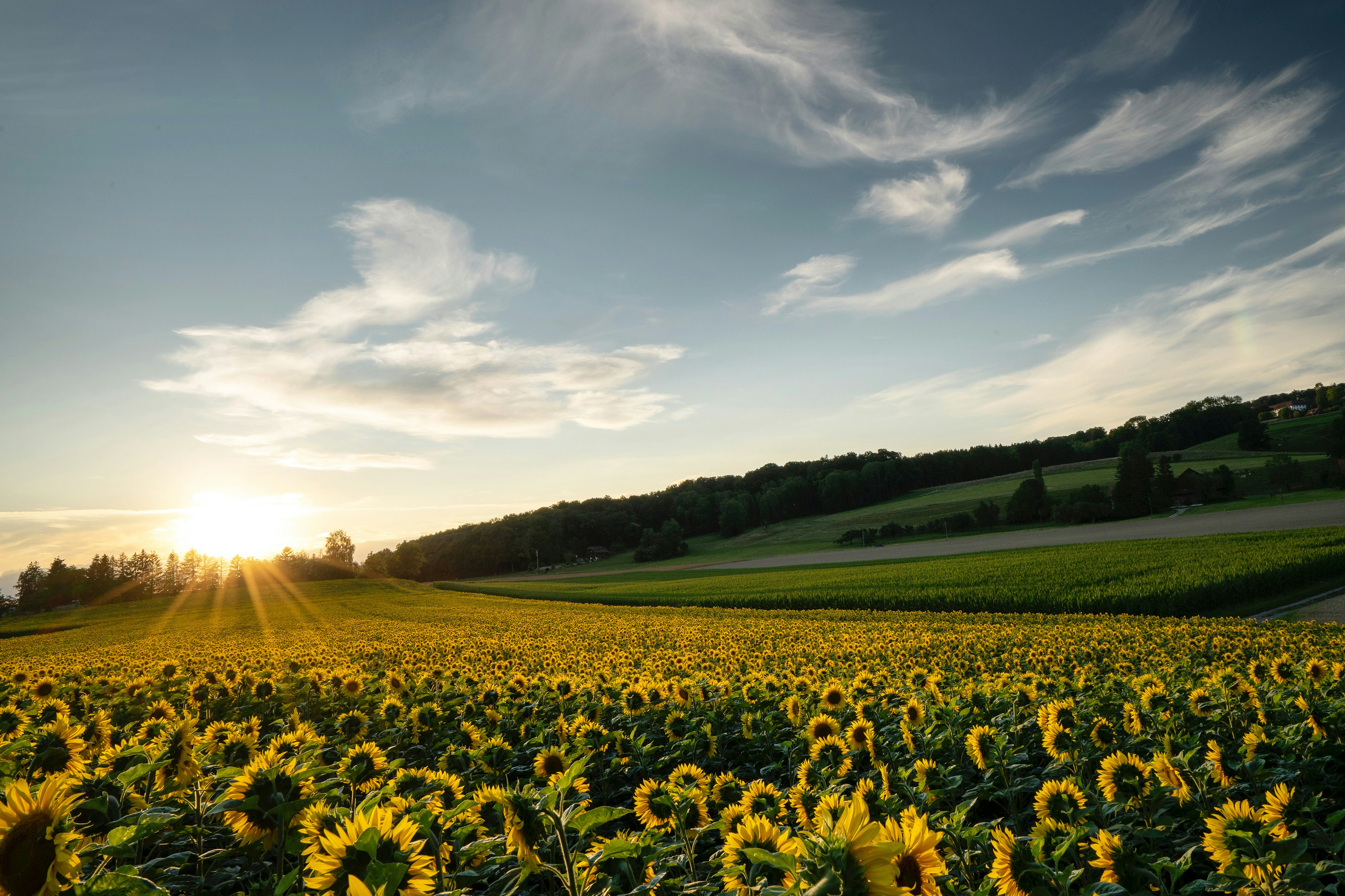 Transformational Coaching Package - 6 Sessions