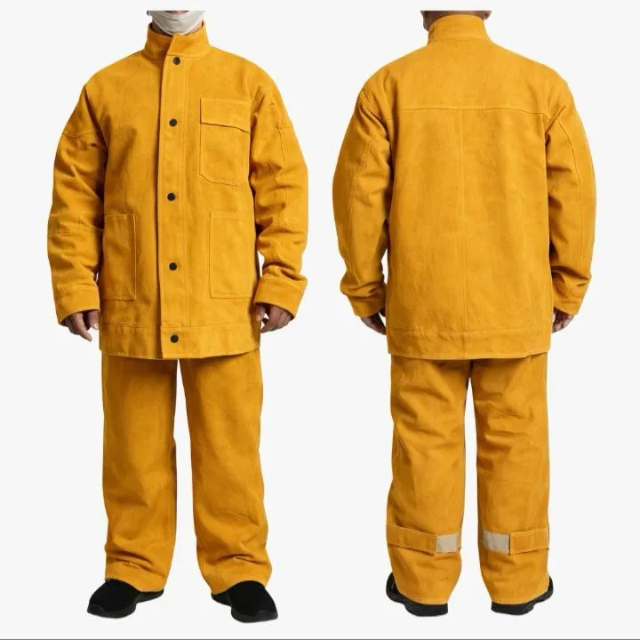 PNB Leather Jacket & Pant