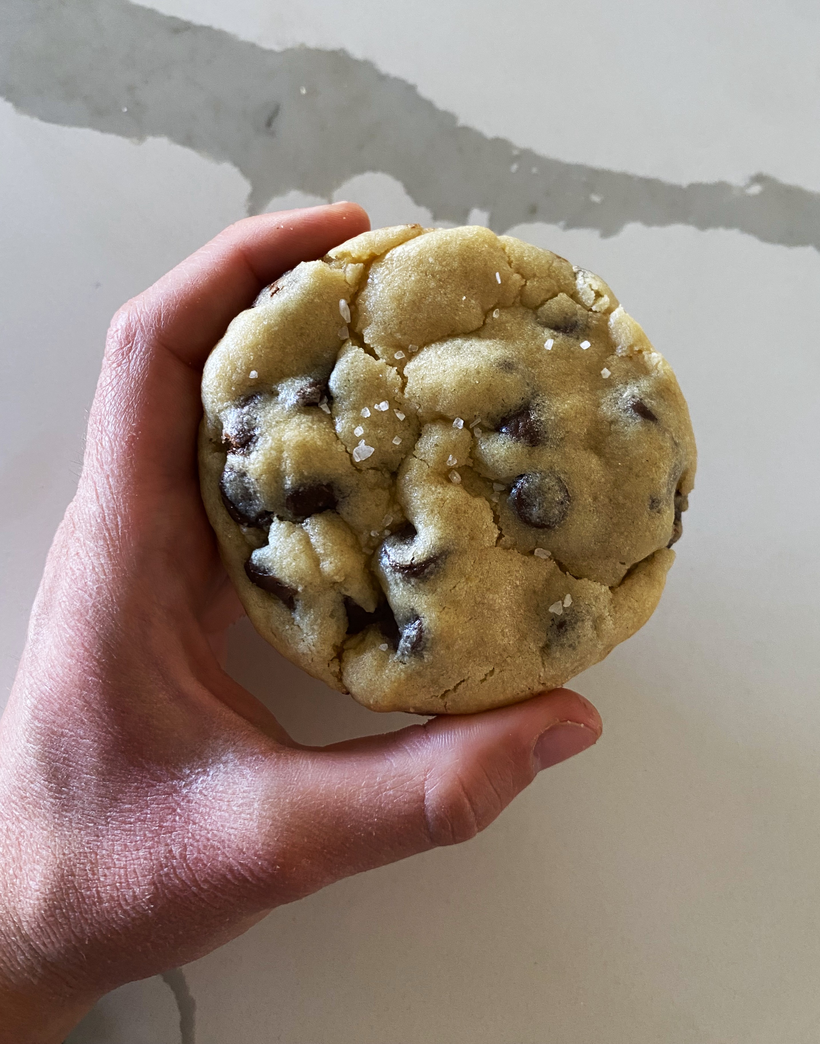 Chocolate Chip Cookie