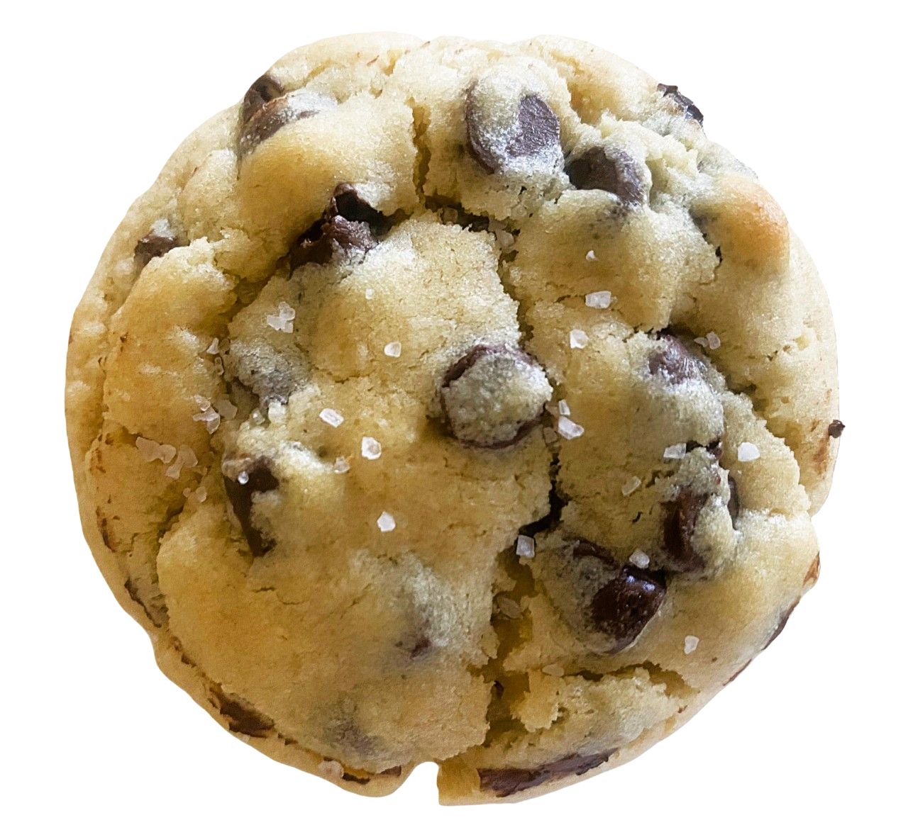 Chocolate Chip Cookie