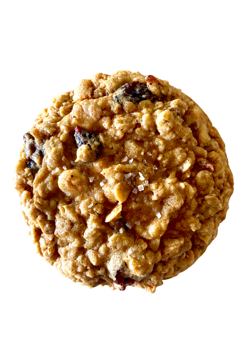 Oatmeal Cranberry Cookie