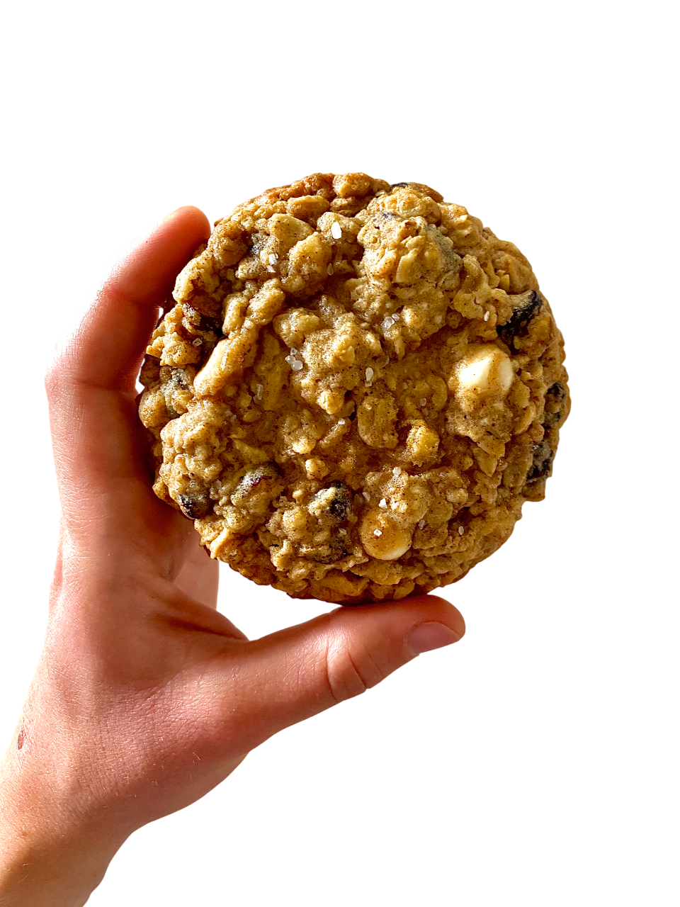 Oatmeal Cranberry Cookie