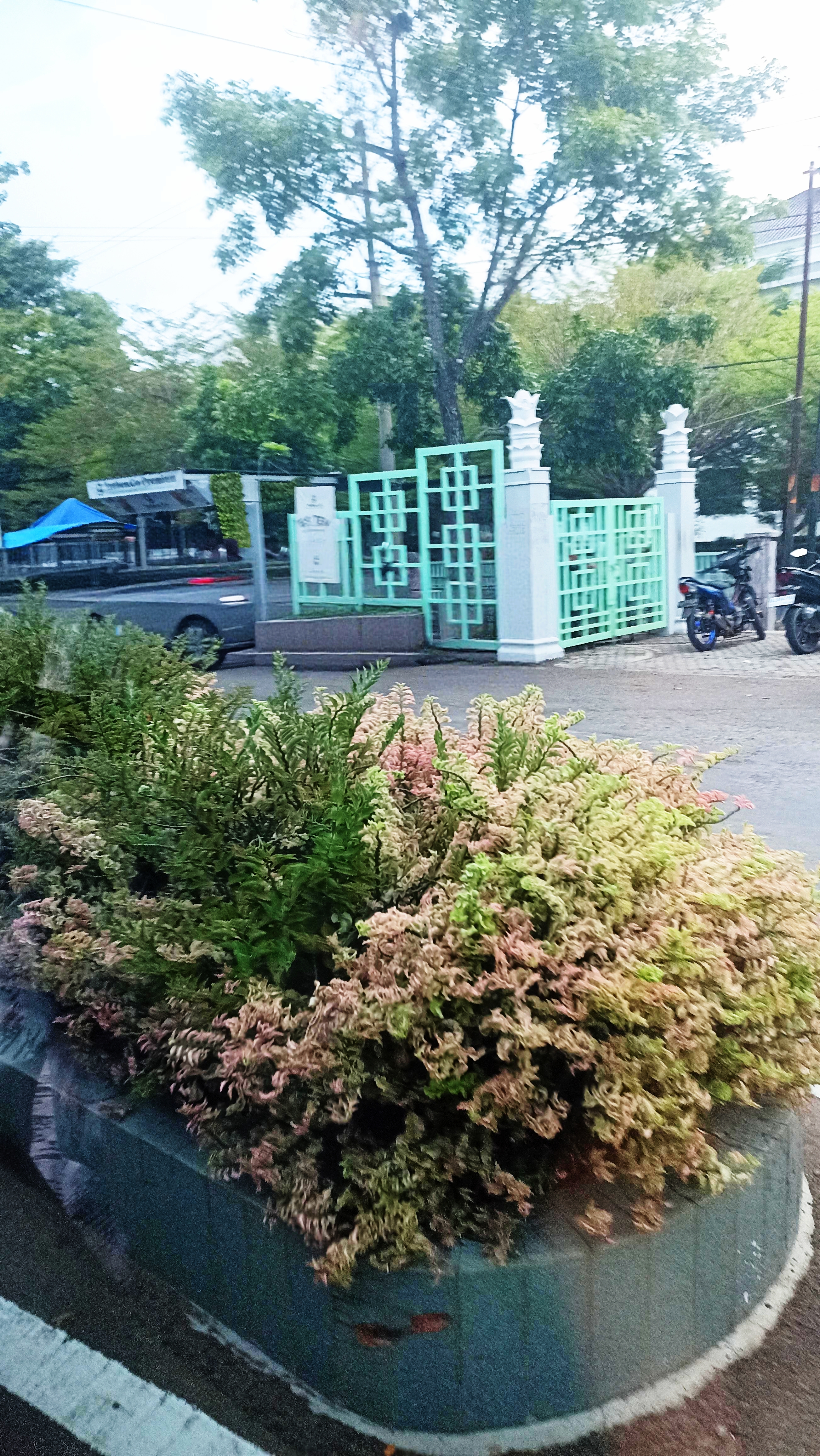 Urban Scenery Digital Photo