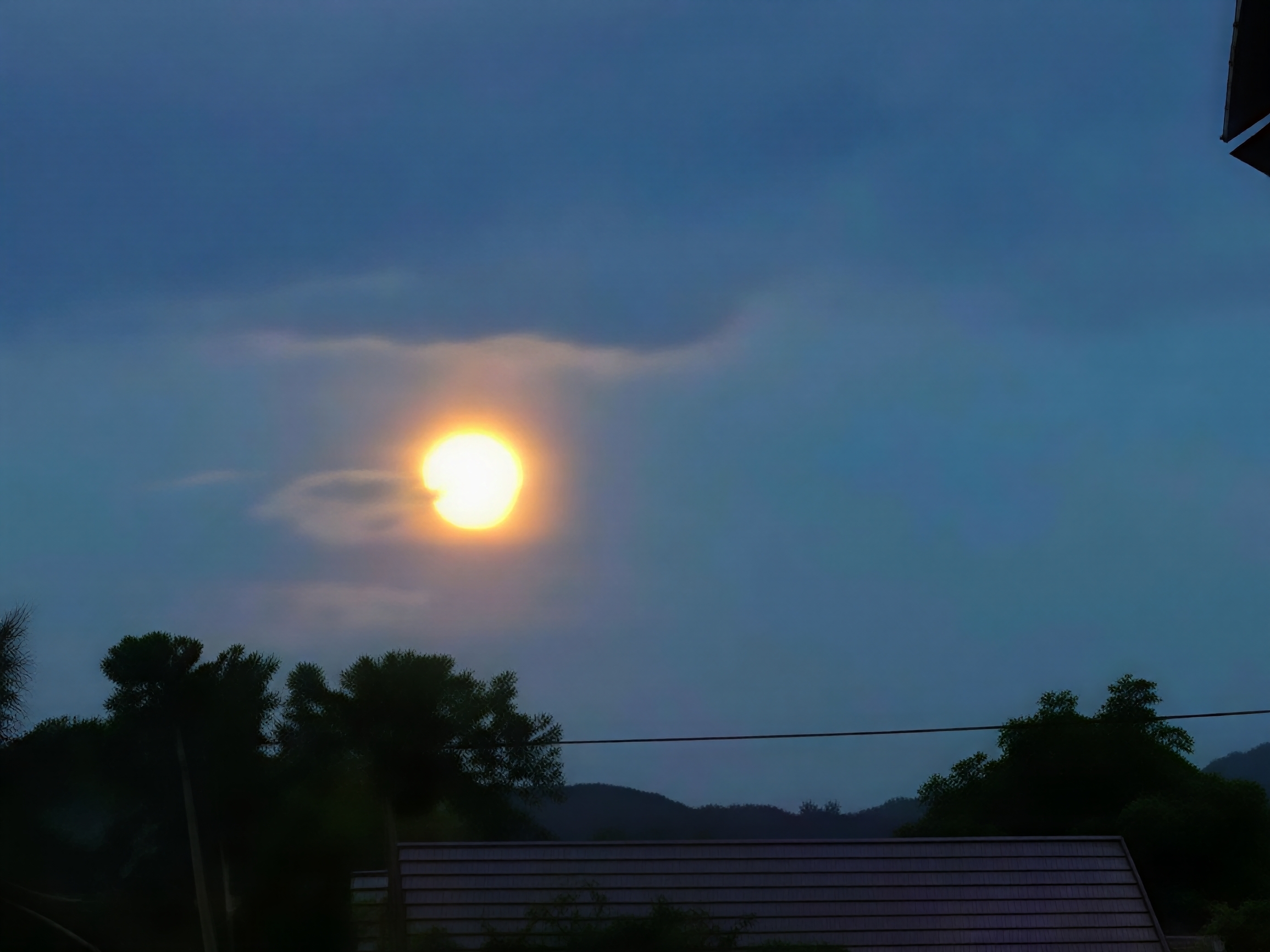 Moonlit Evening Digital Art