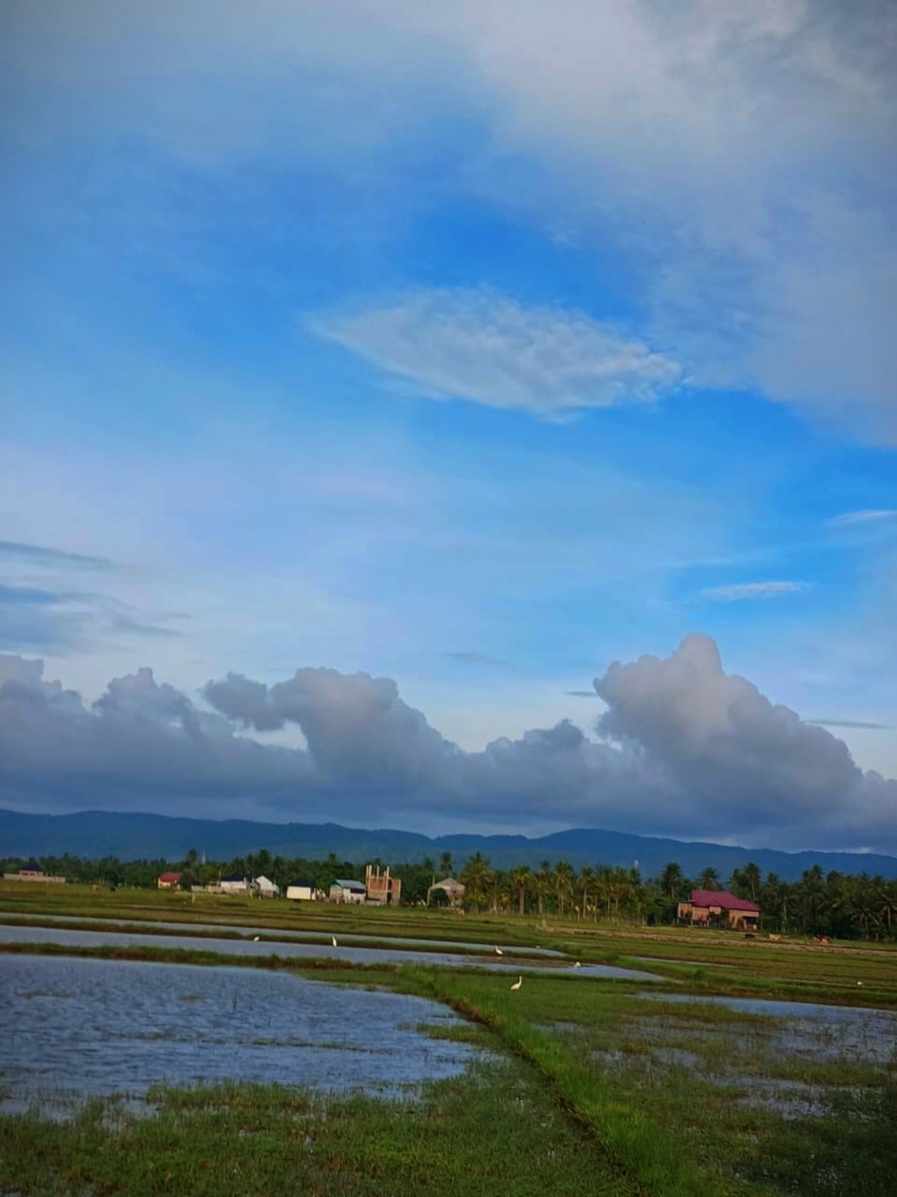 Serene Landscape Digital Art