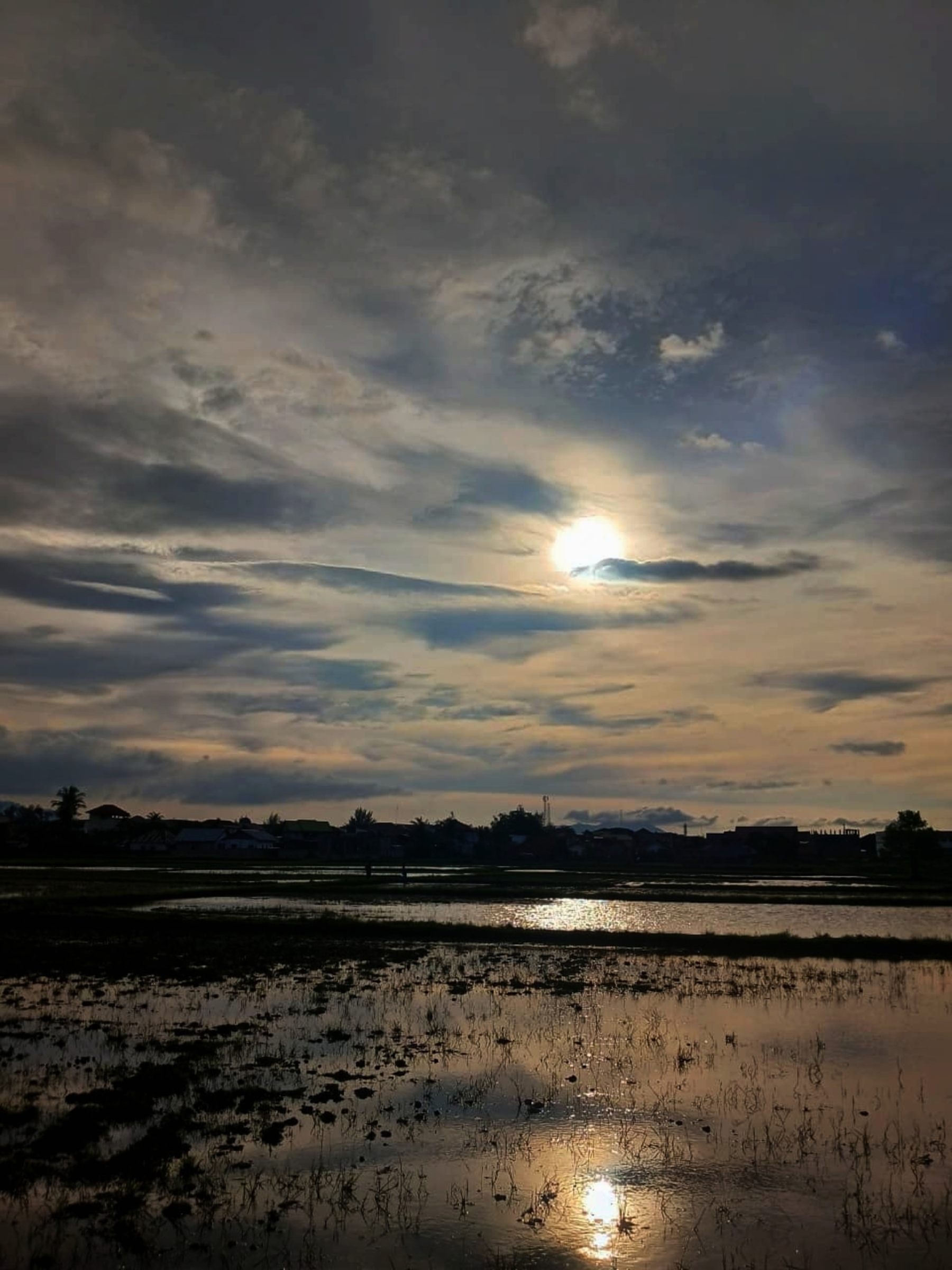 Sunset Over a Tranquil Rice Field