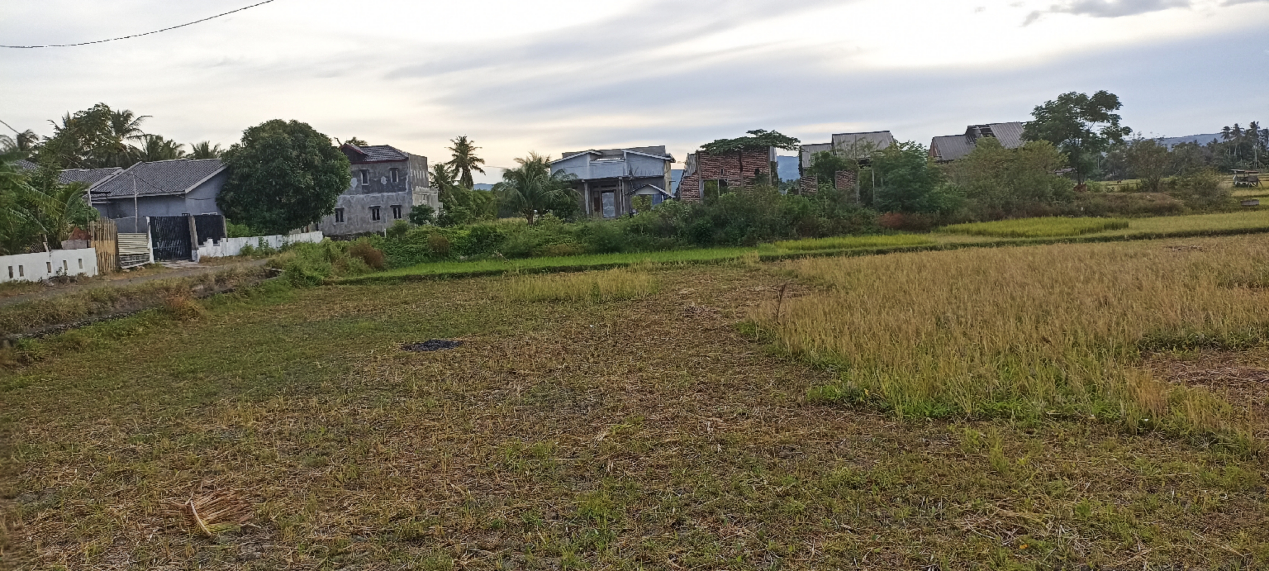 Countryside Field Photo