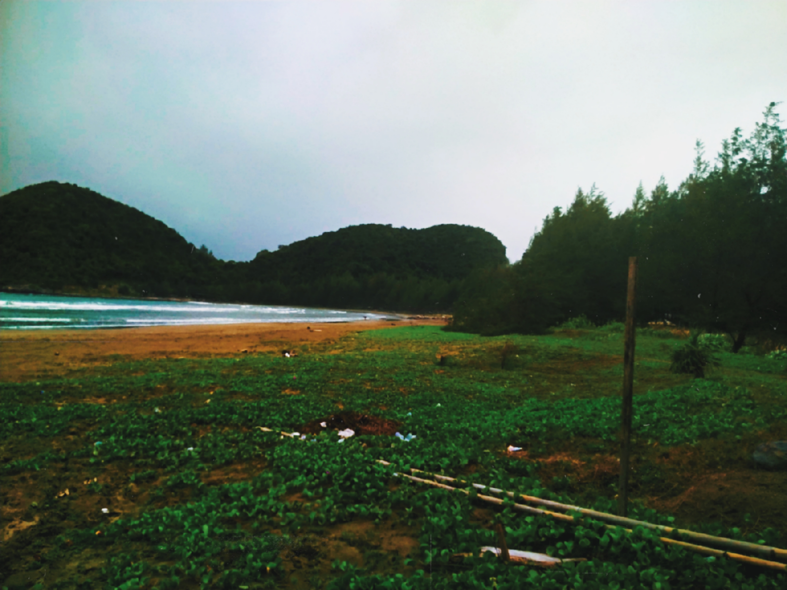 Serene Coastal Landscape Digital Art