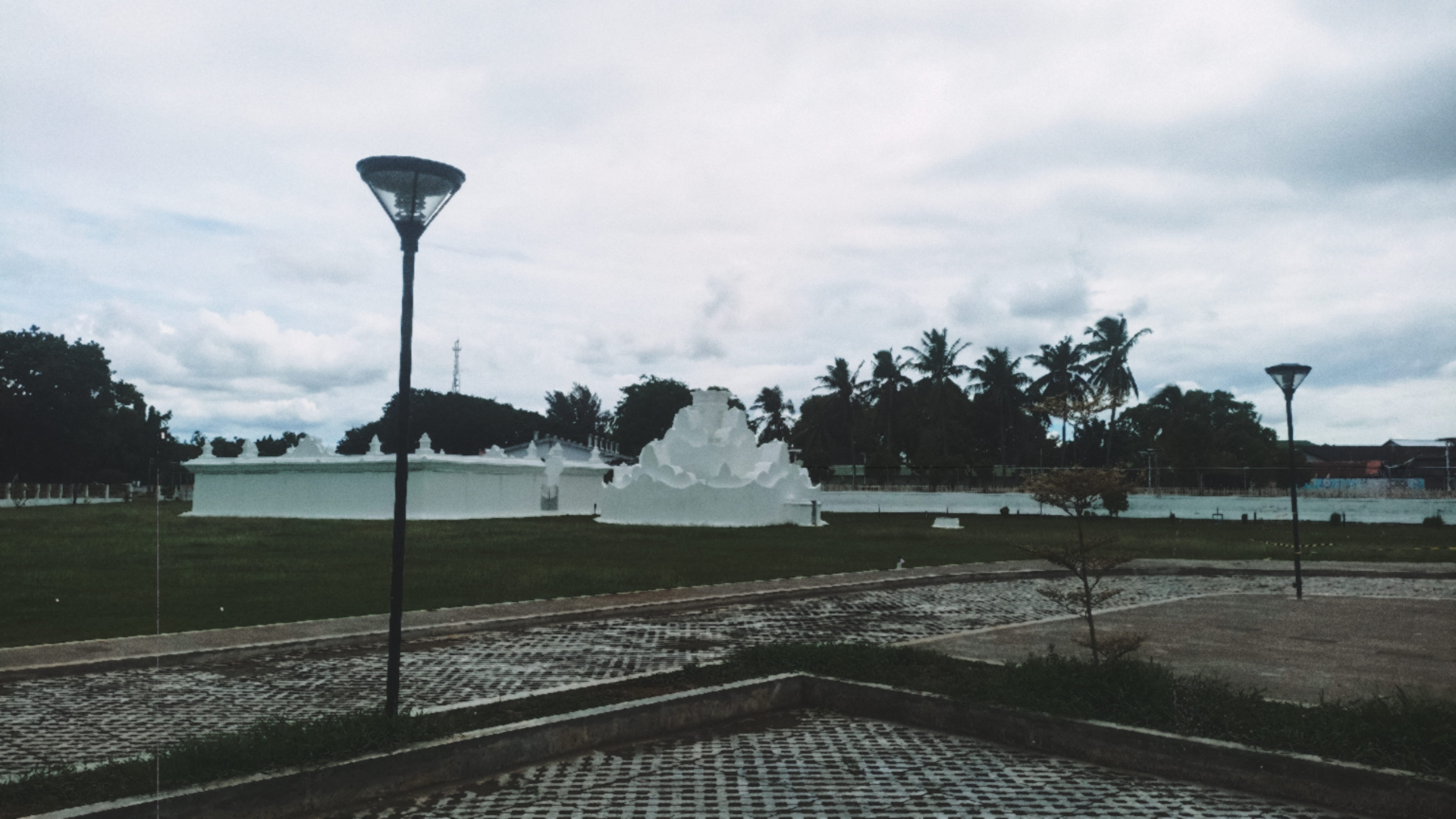 Tropical City Park Digital Photo