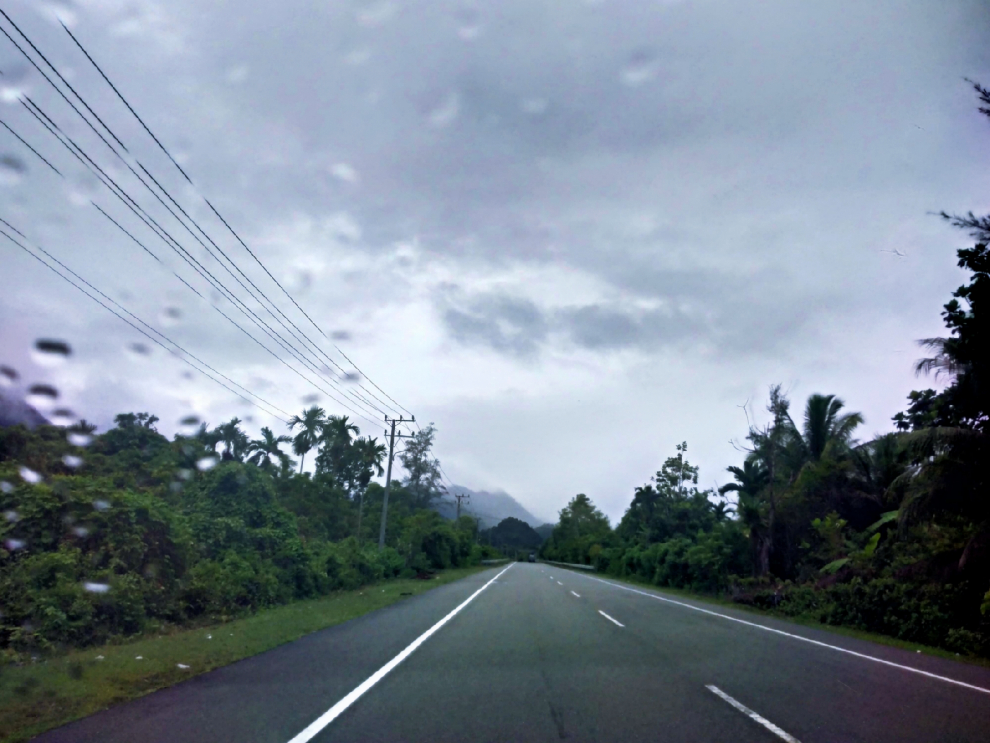 Rainy Road Digital Wallpaper