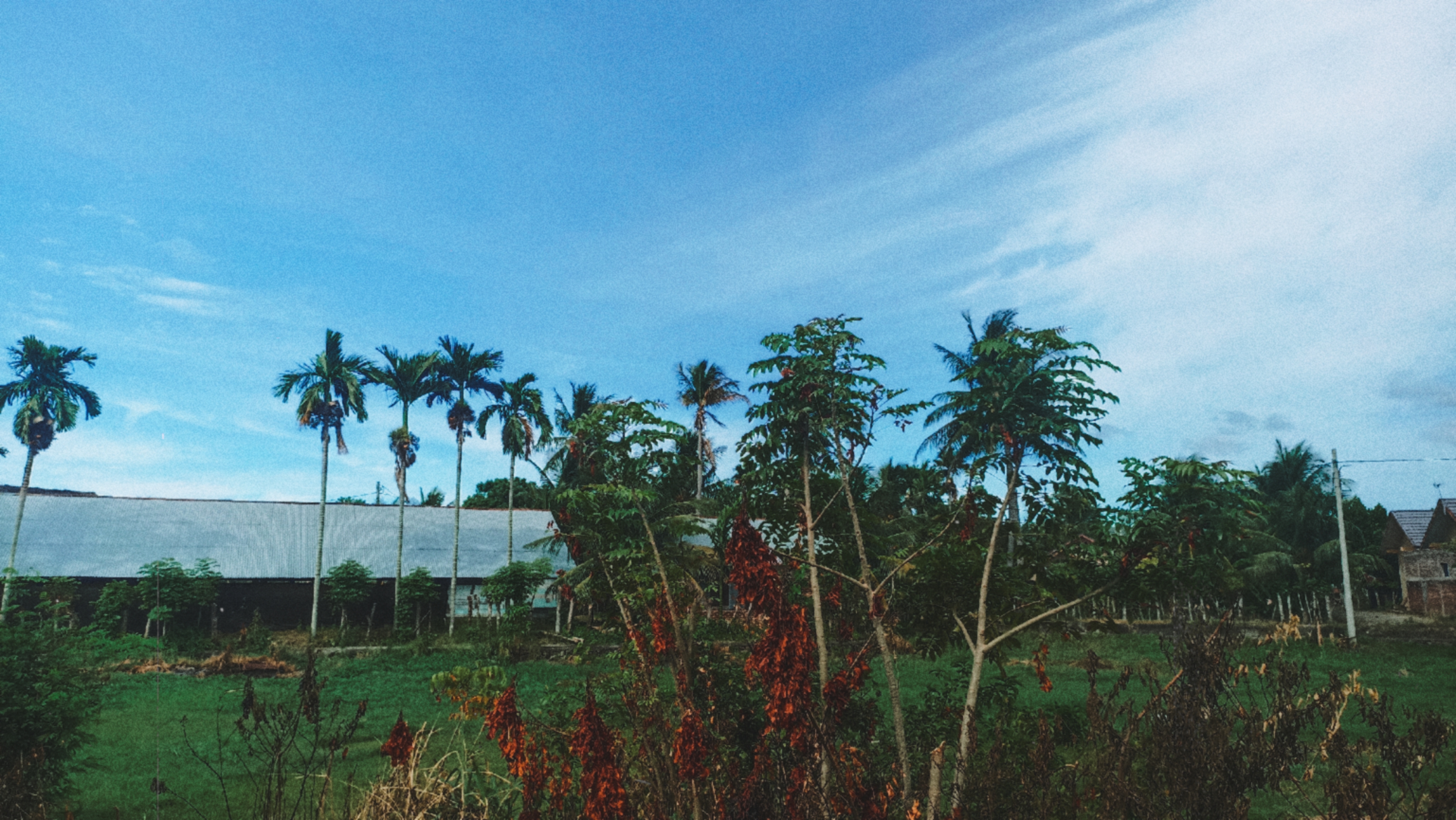 Tropical Landscape Photo