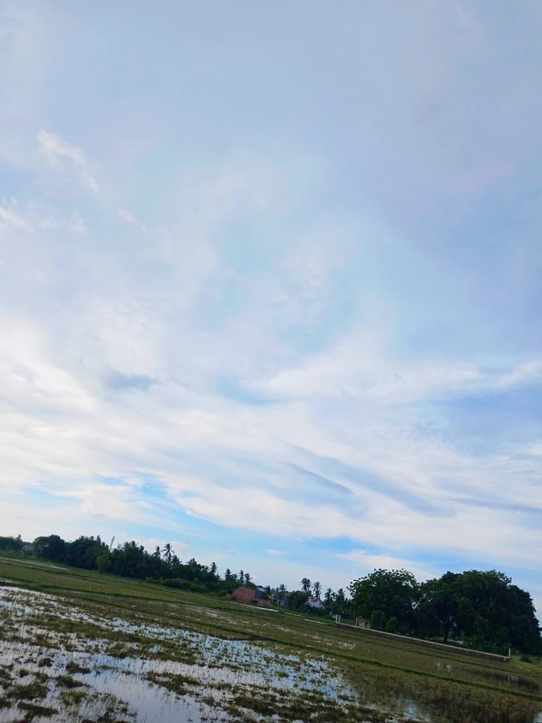 Peaceful Landscape Digital Photo