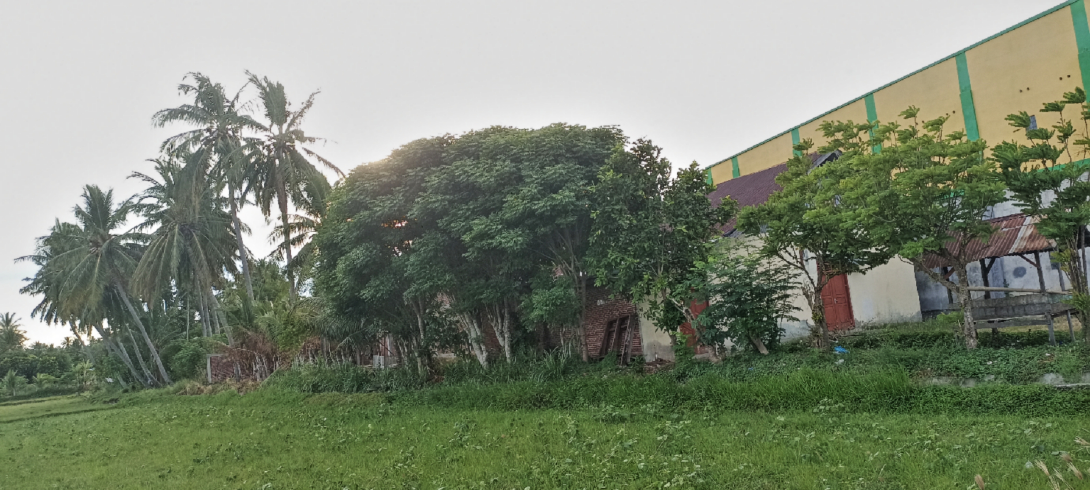 Tropical Landscape Digital Photo