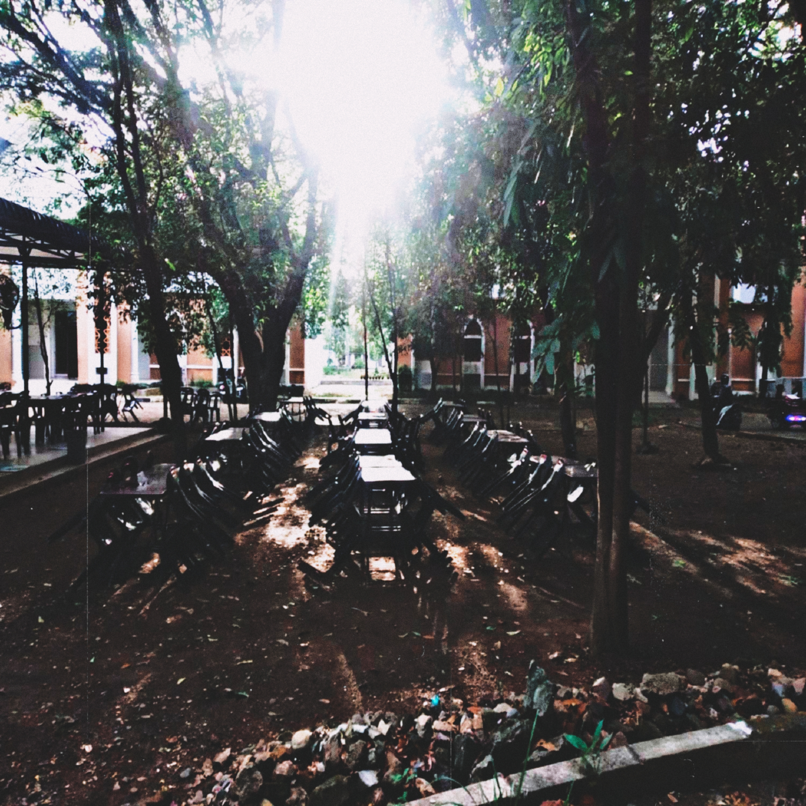 Urban Serenity Photo