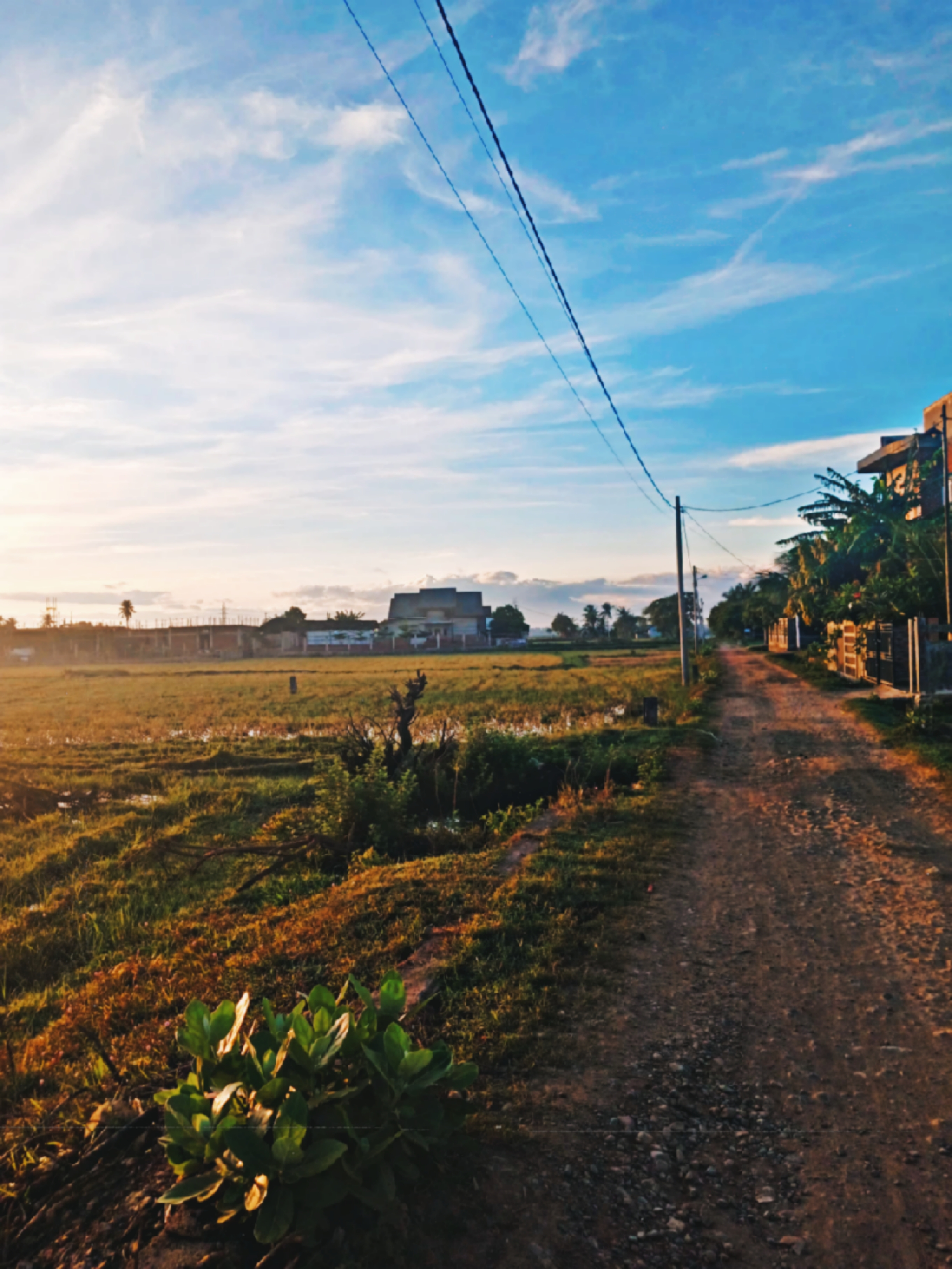 Countryside Path Digital Photo