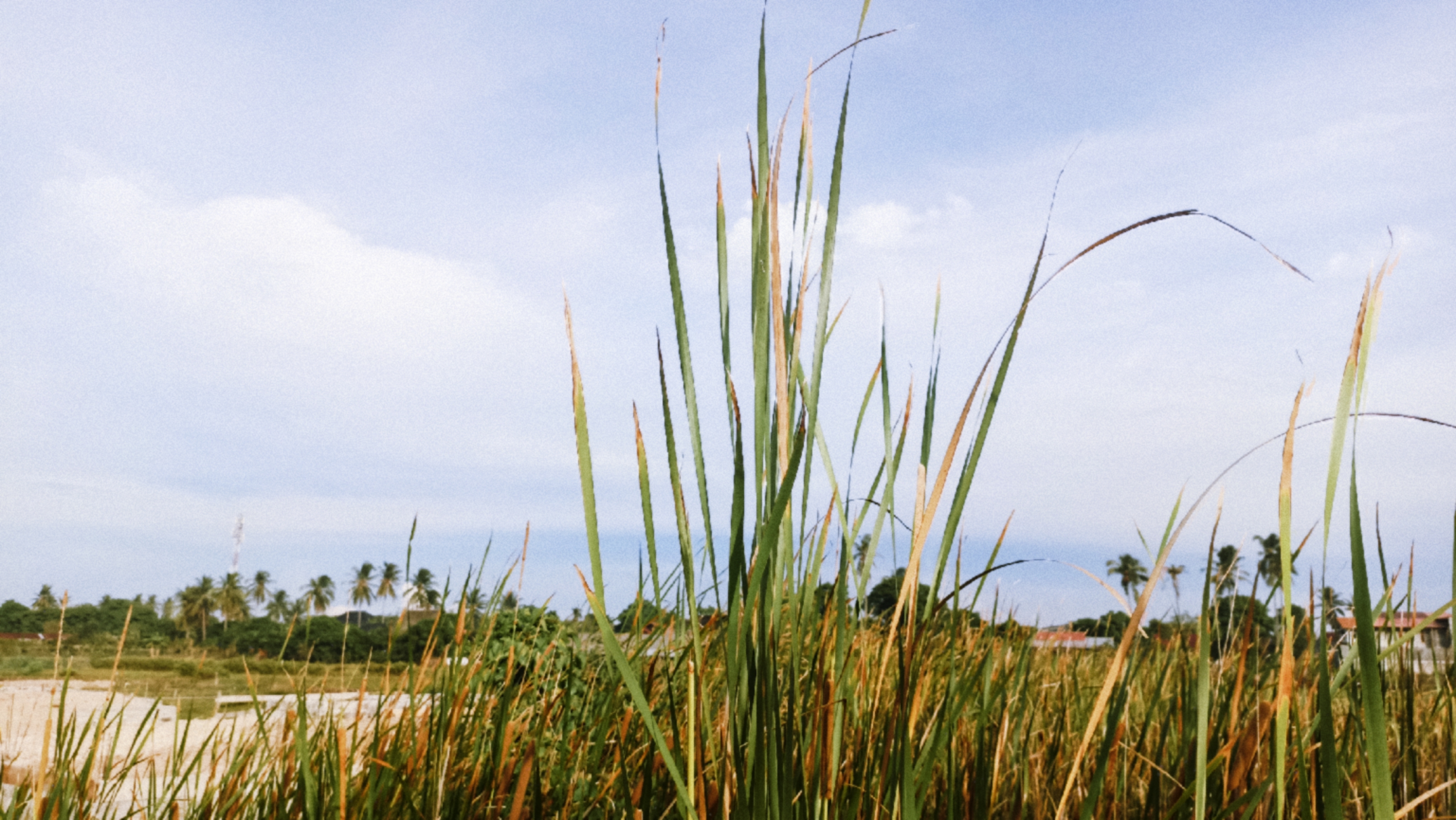 Natural Landscape Digital Photo