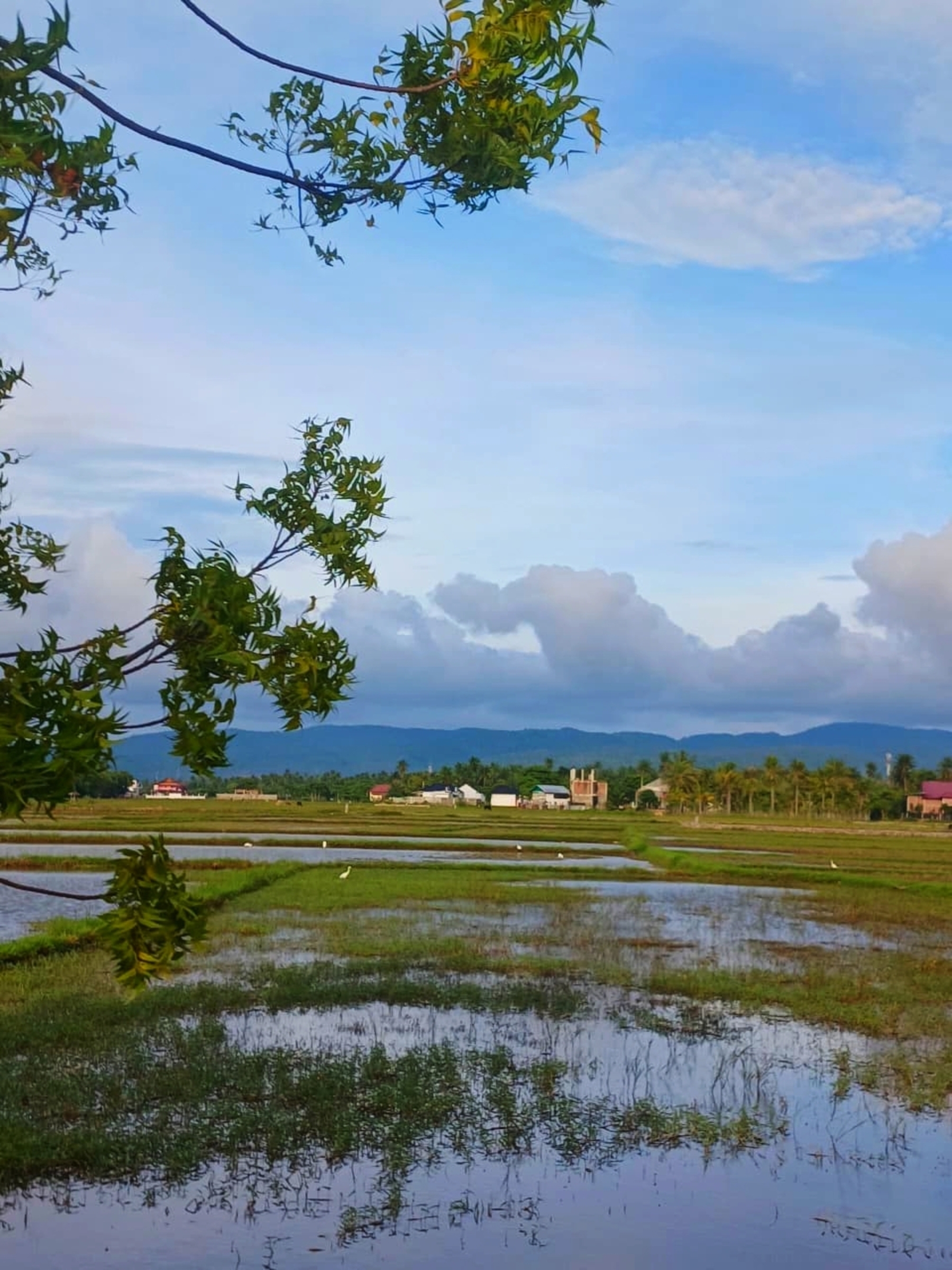 Serene Countryside Landscape Digital Print