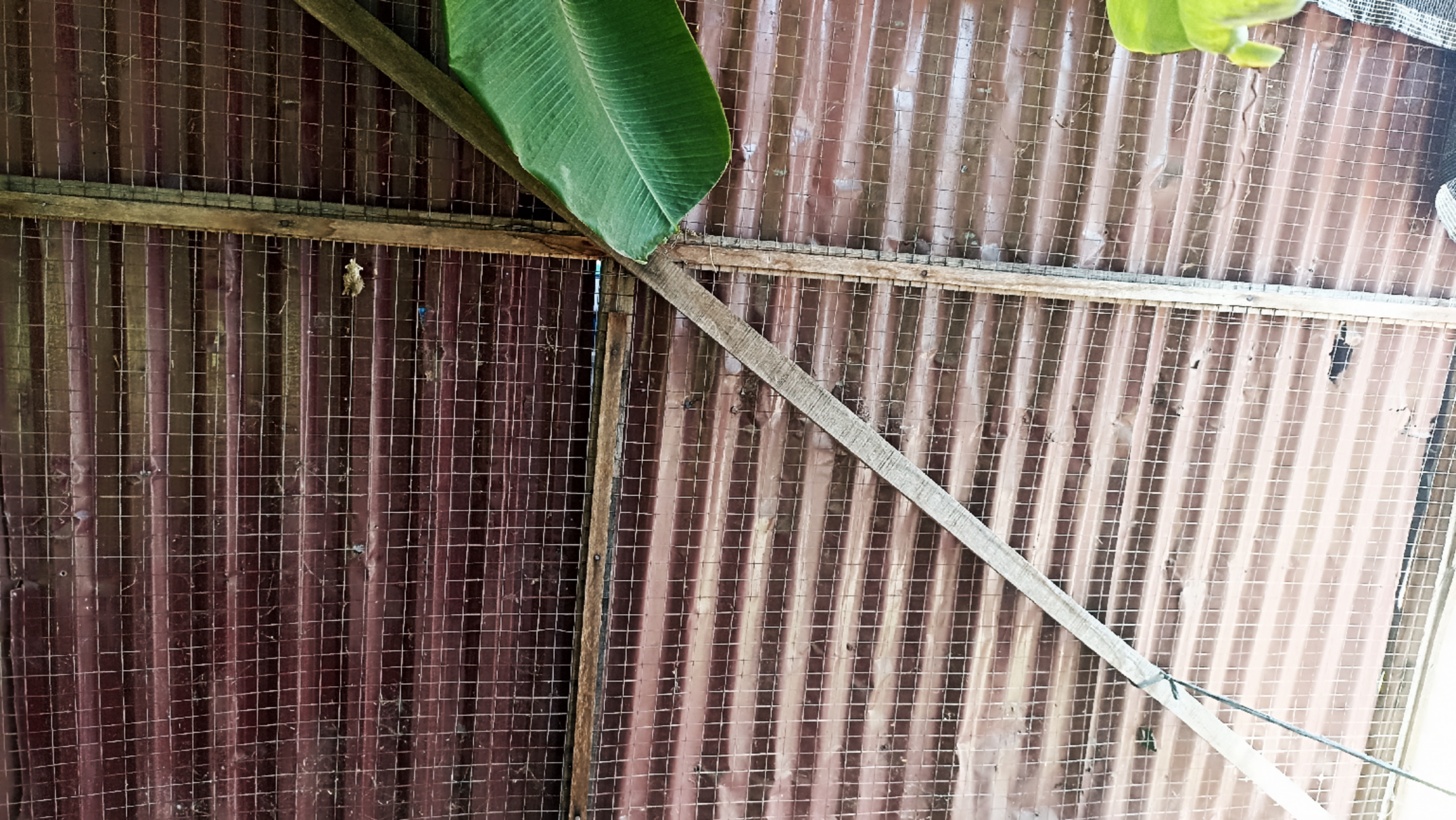 Rustic Metal Roof Texture