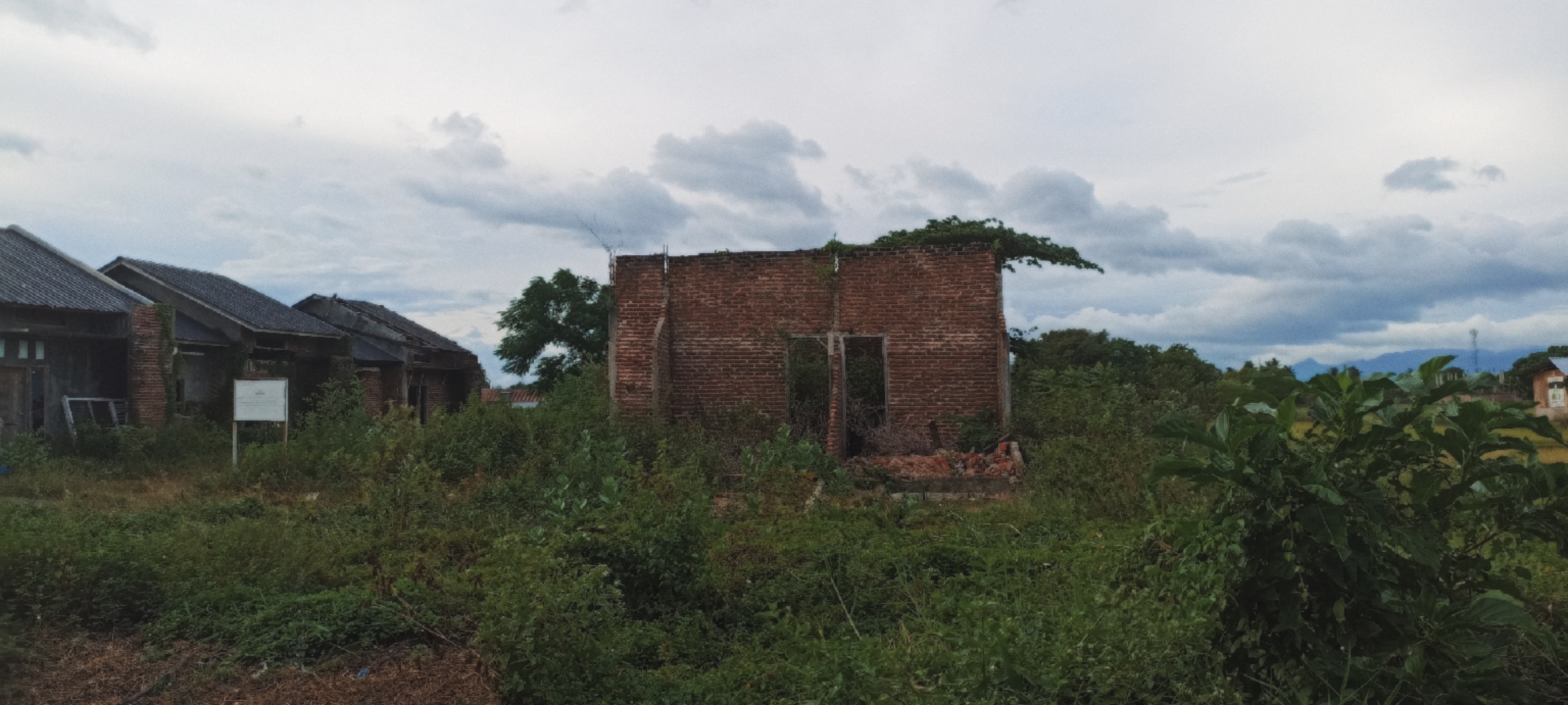 Abandoned House In A Rice field Area Photo