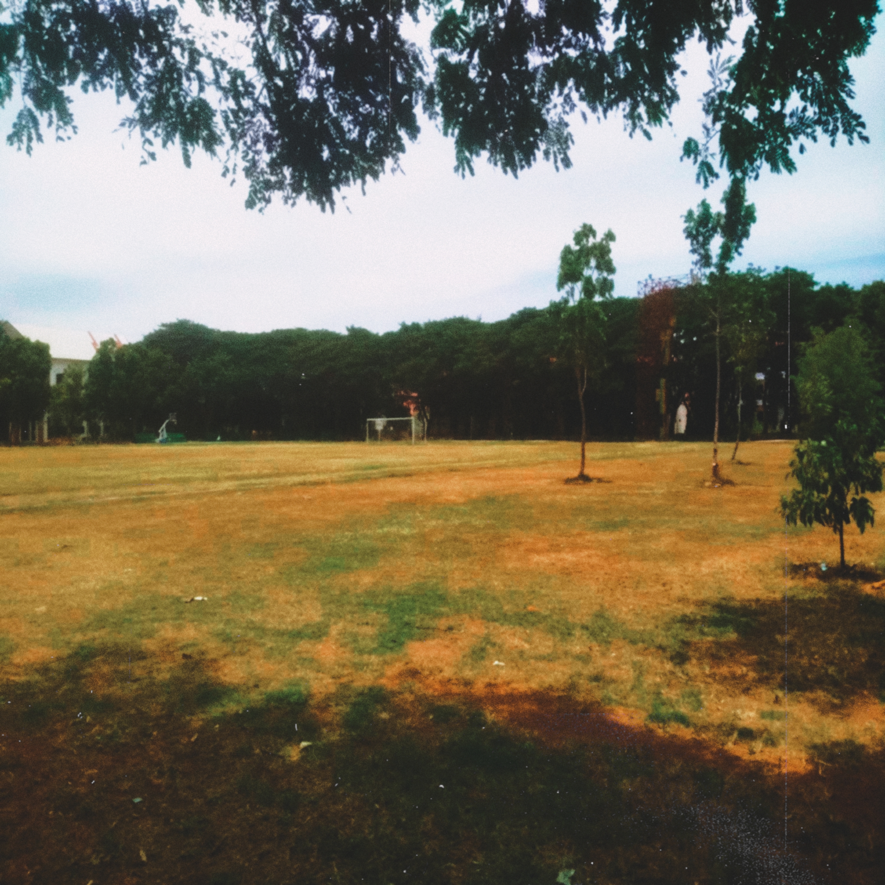 Digital Soccer Field Background