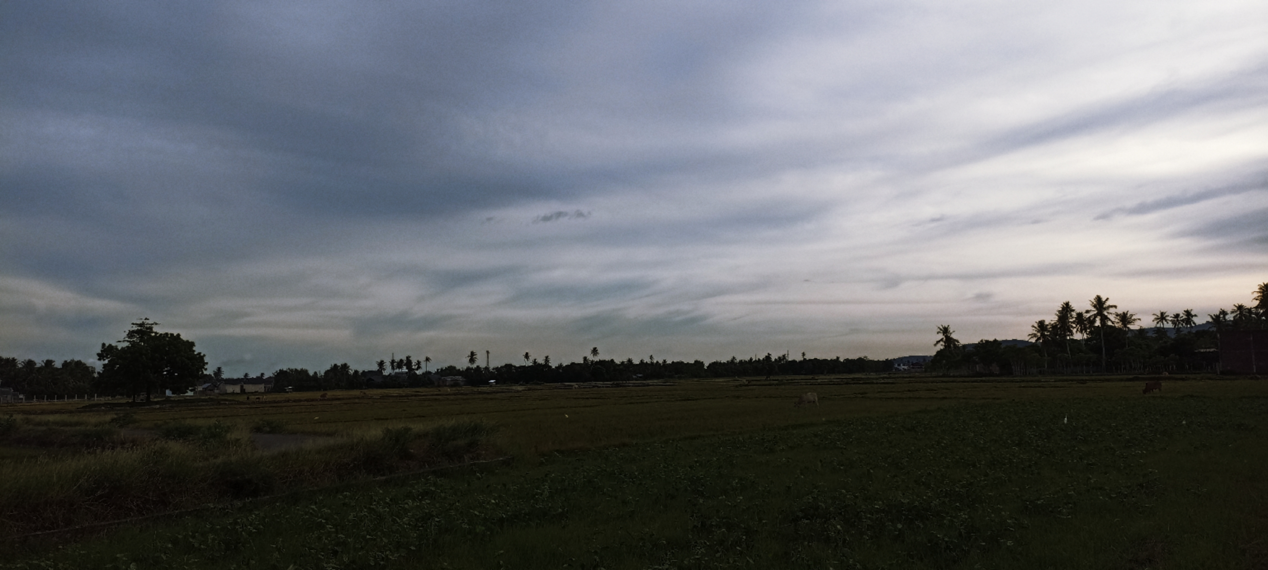 Serene Twilight Landscape