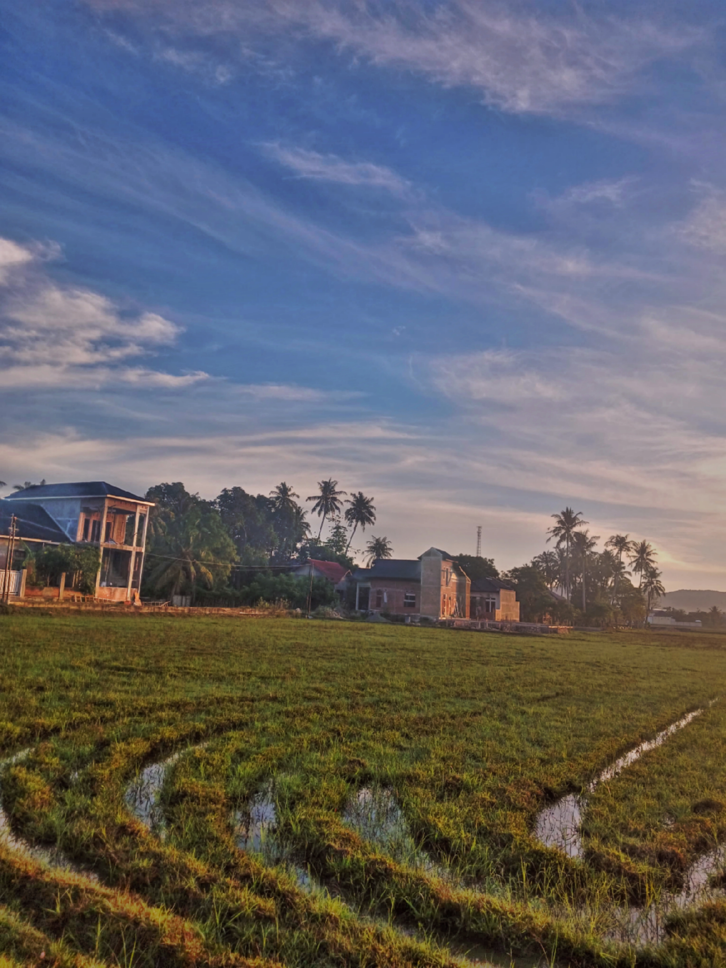 Rural Sunrise Landscape Digital Print