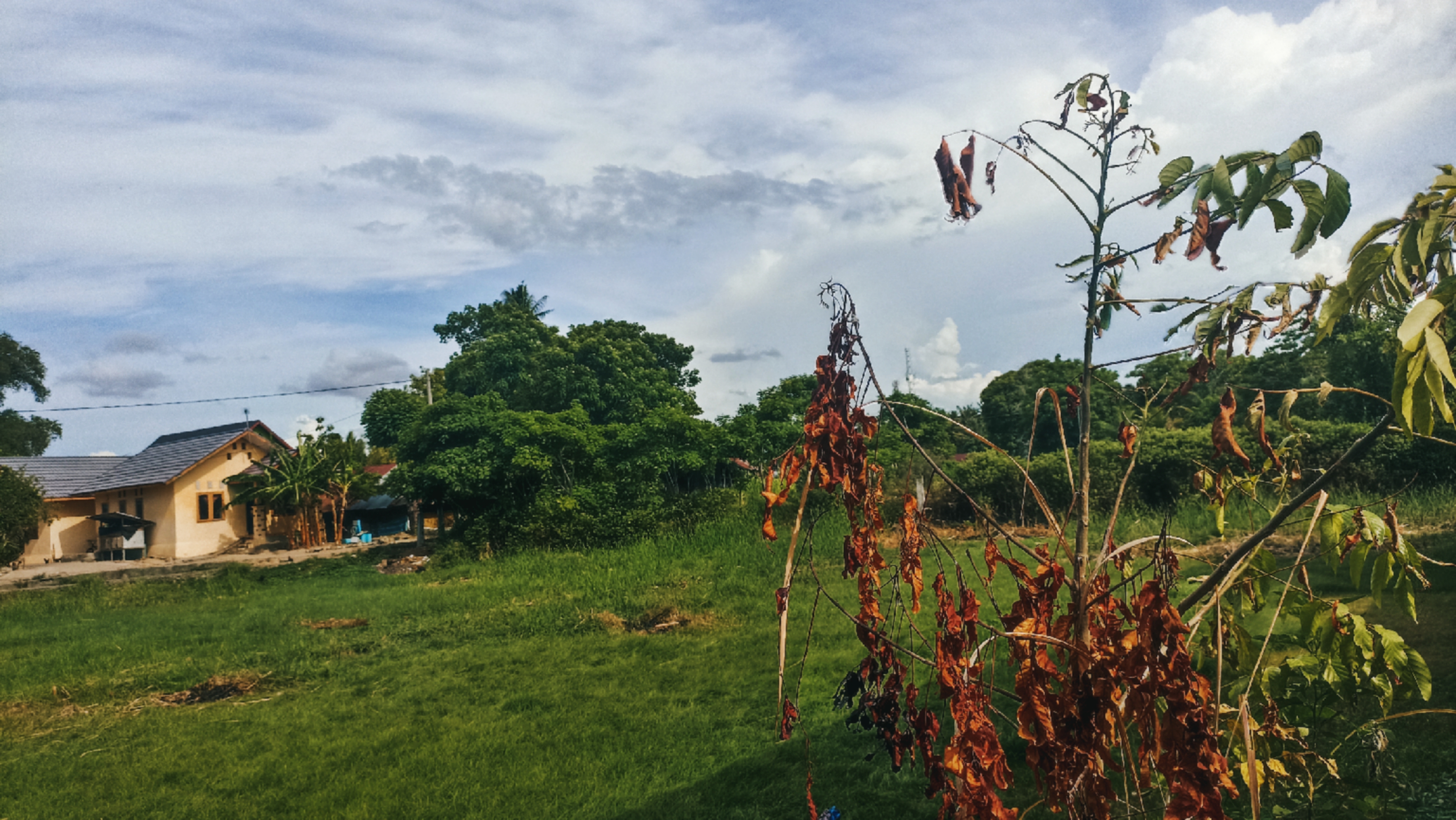 Countryside Landscape Photo