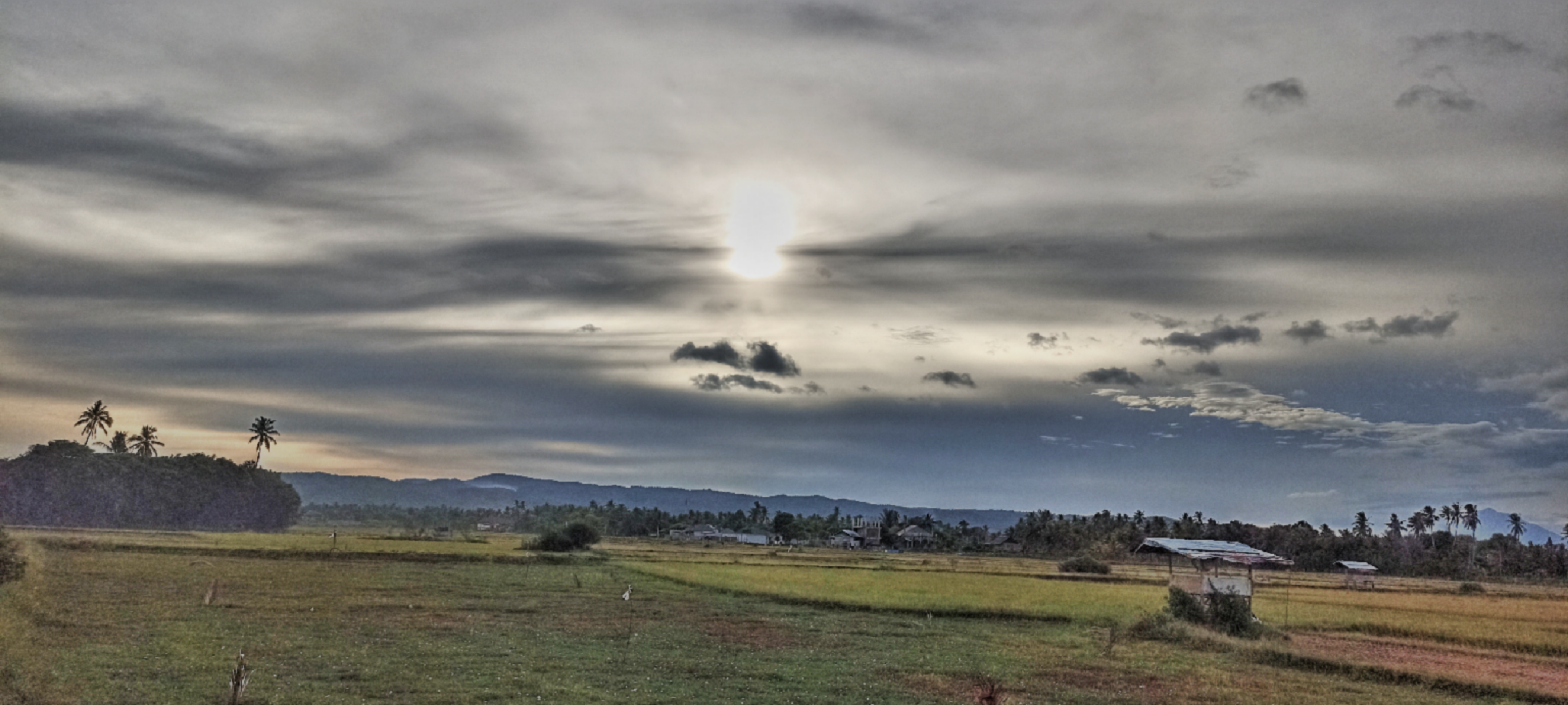 Tropical Twilight Landscape