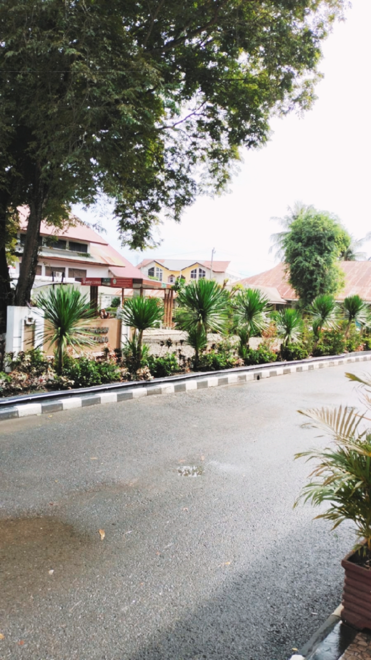 Tropical Street View Photo