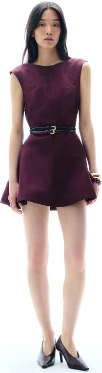 Wine Sleeveless Skater Dress