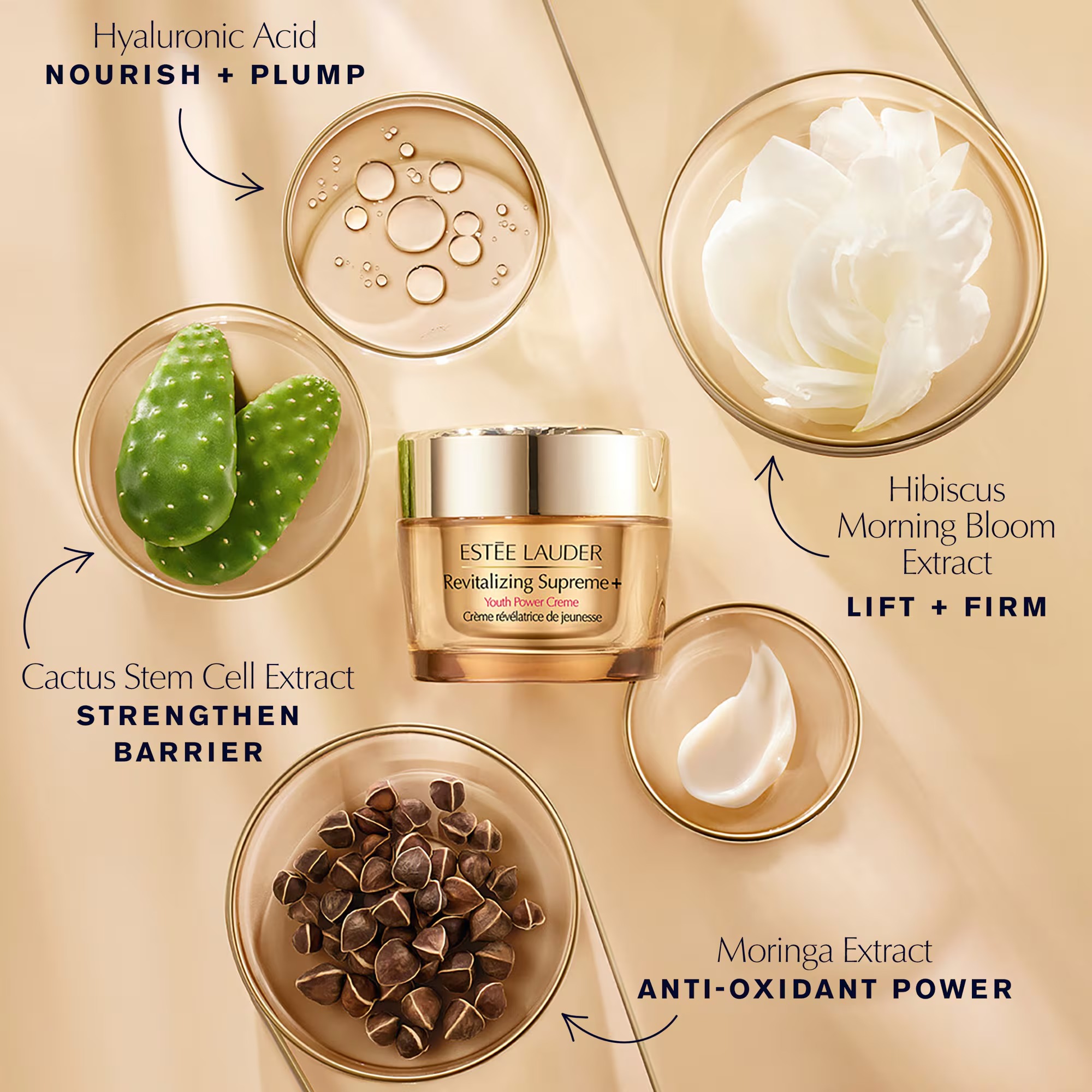 Revitalizing Supreme+ Moisturizer Youth Power Creme
