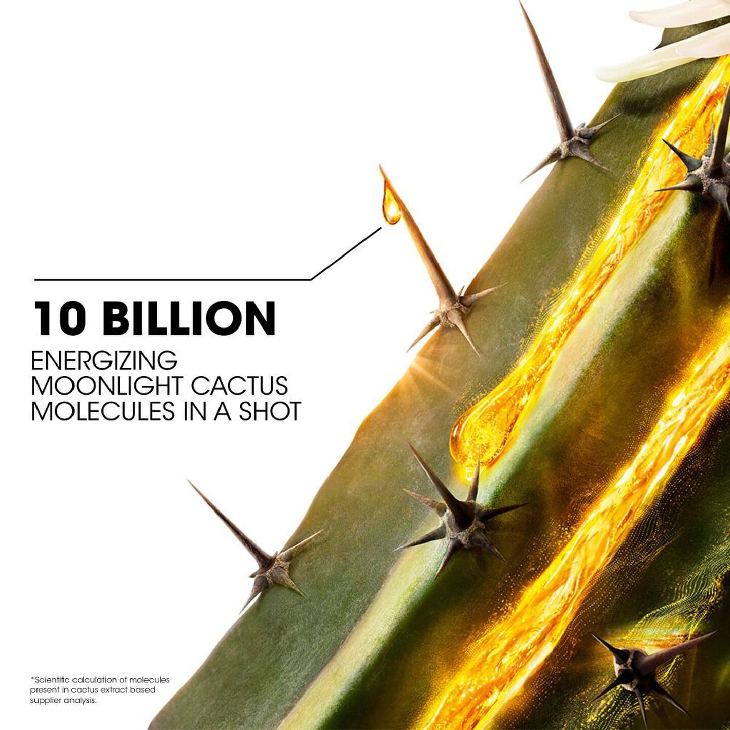 Pure Shots Night Reboot Serum