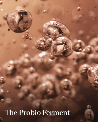 Genaissance de la Mer The Infused Lotion