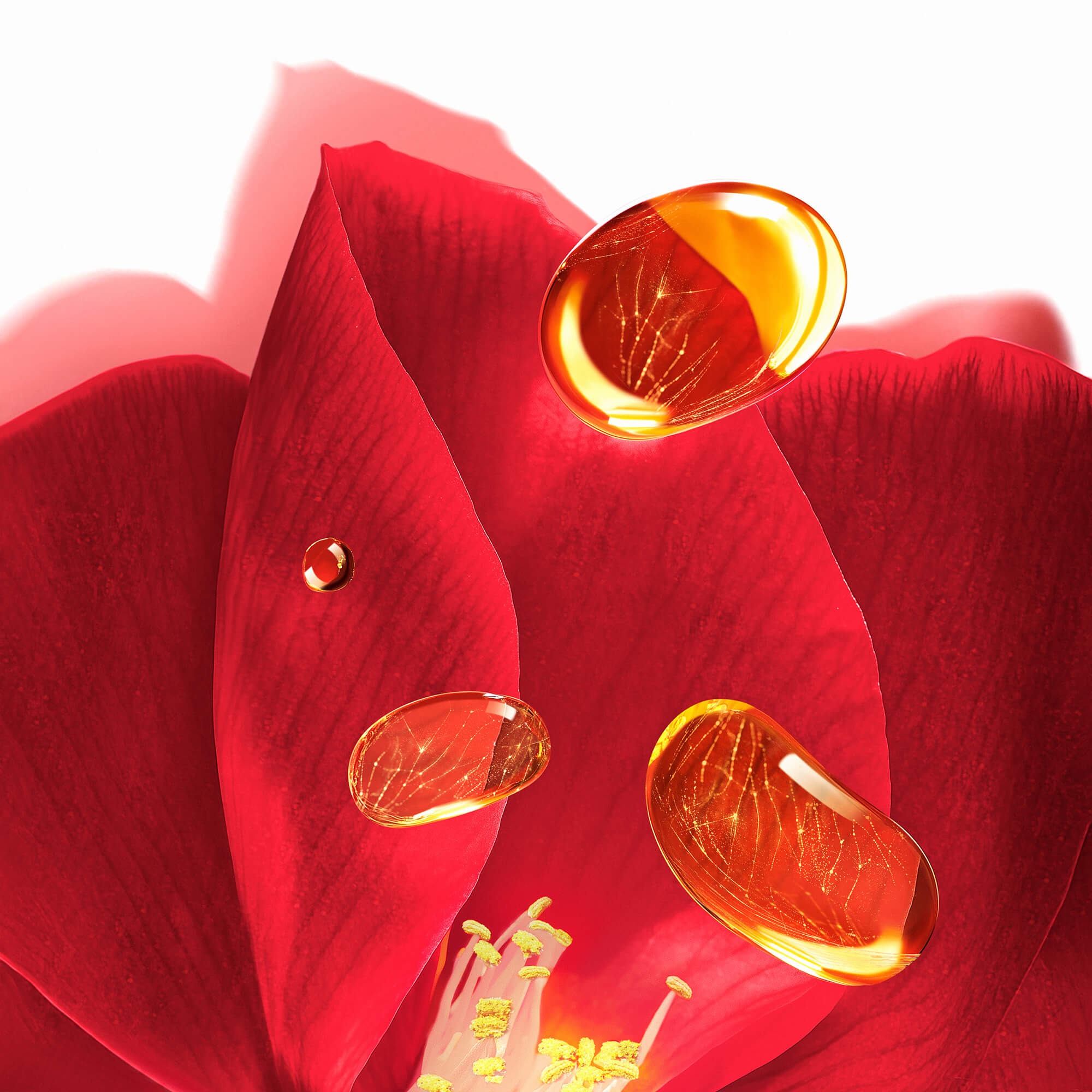 ultime8∞ sublime beauty cleansing oil