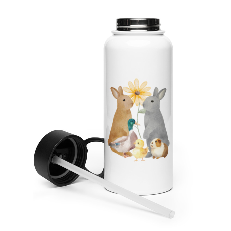 Stainless steel water bottle with a straw lid
