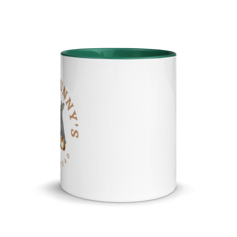 Mug with Color Inside