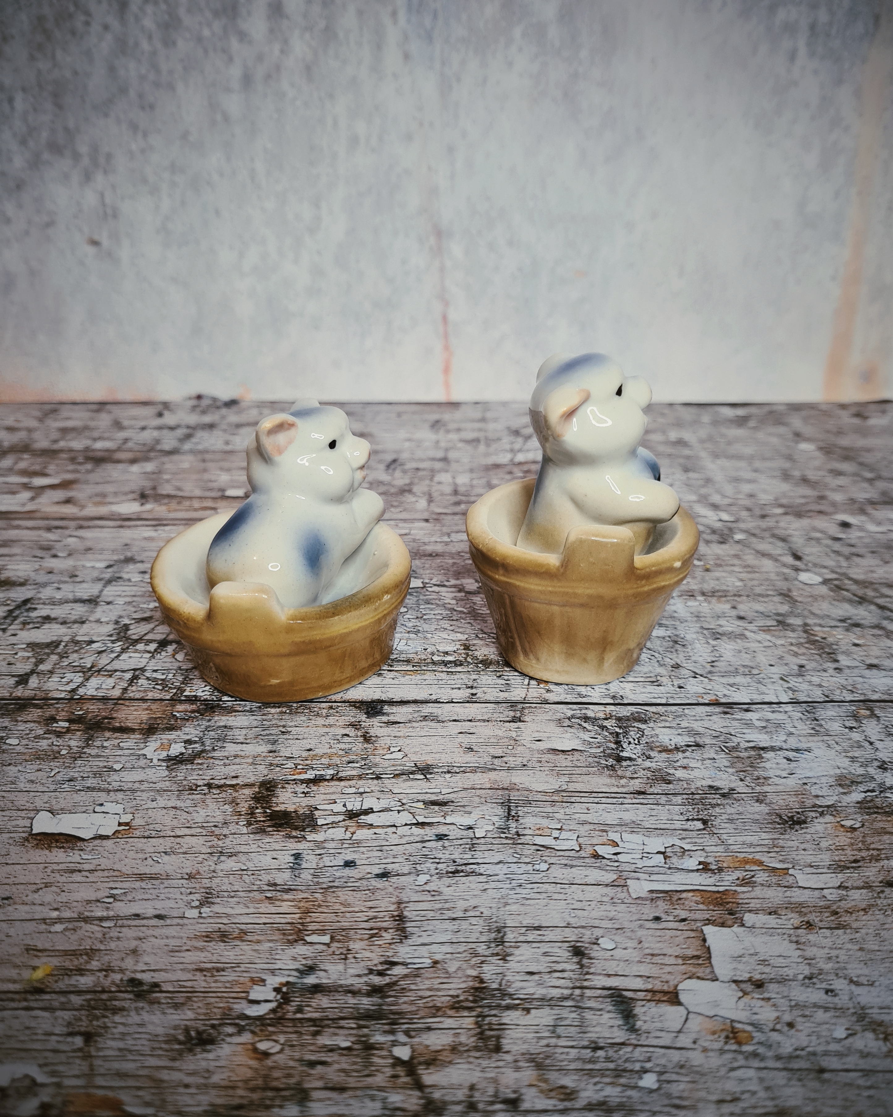 Vintage Ceramic Pig Ornaments in Tubs – Pair