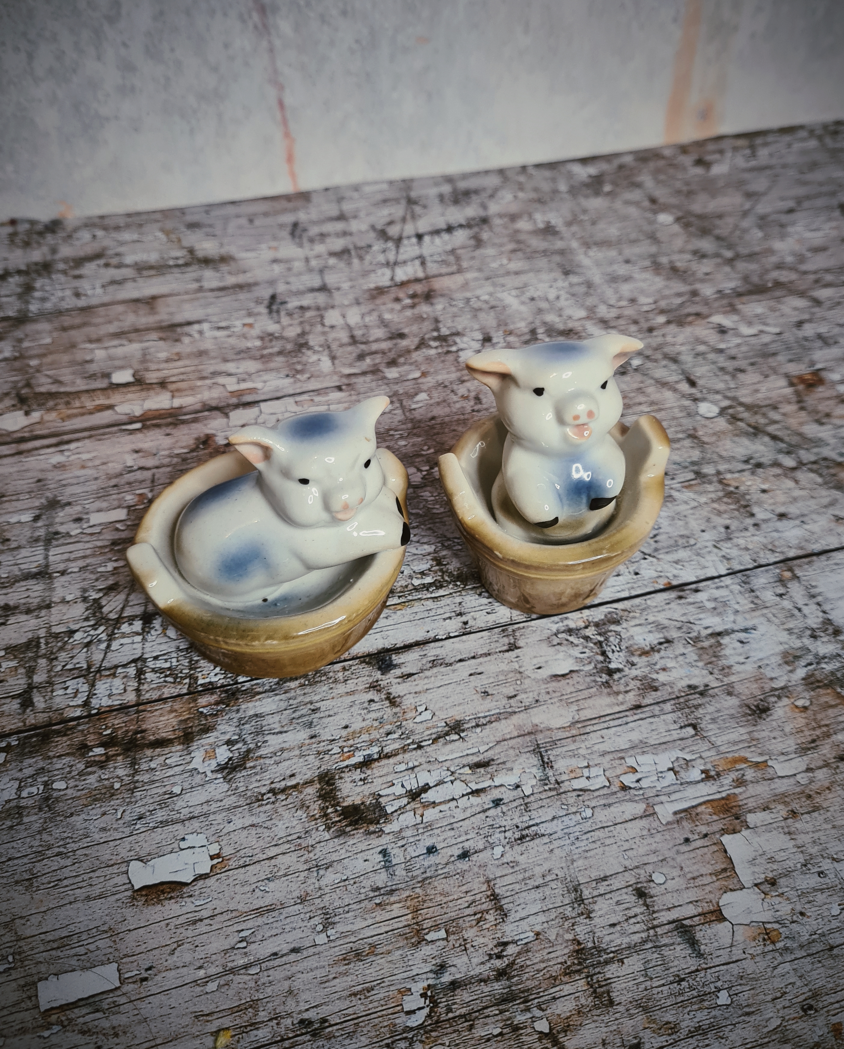 Vintage Ceramic Pig Ornaments in Tubs – Pair