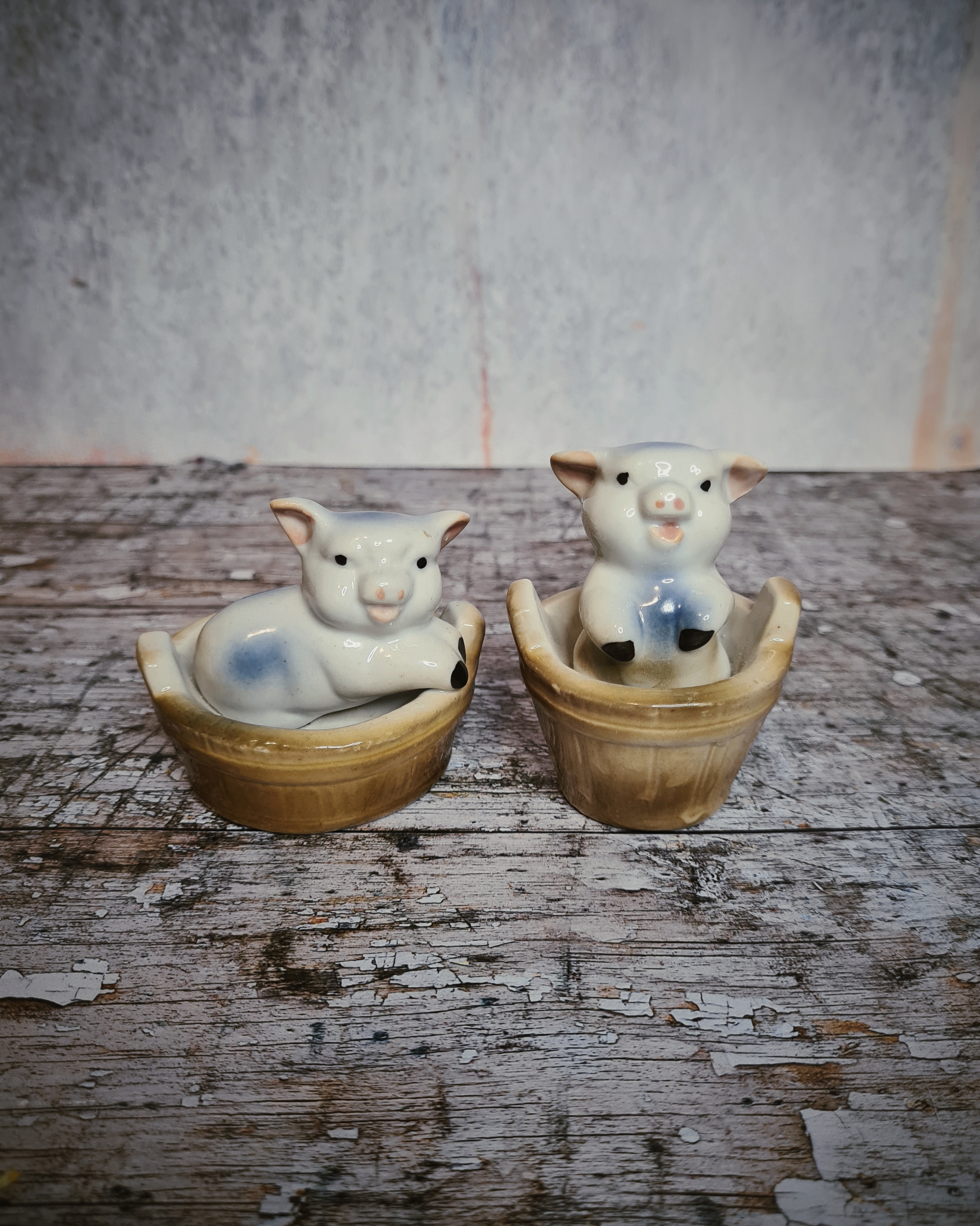 Vintage Ceramic Pig Ornaments in Tubs – Pair