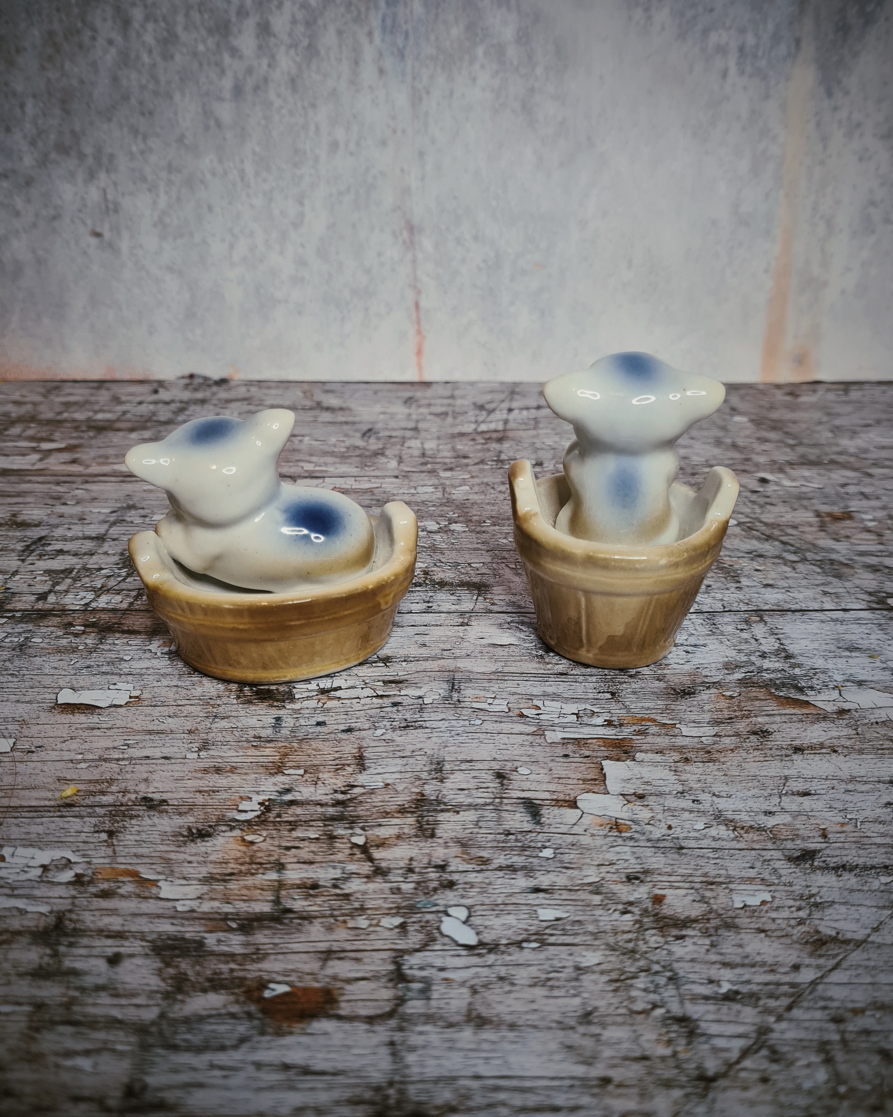 Vintage Ceramic Pig Ornaments in Tubs – Pair