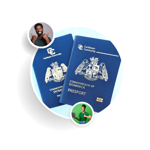 Premium Renewal Service Plan (Local)