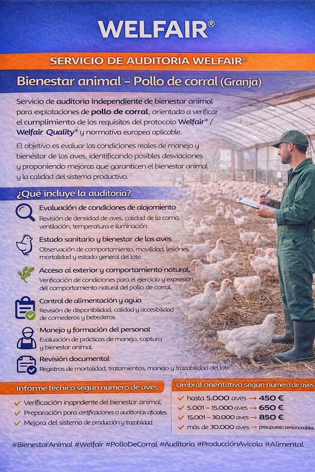 Bienestar animal – Pollo de corral (Granja)