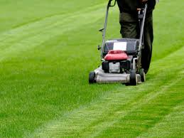 Lawn Care Service