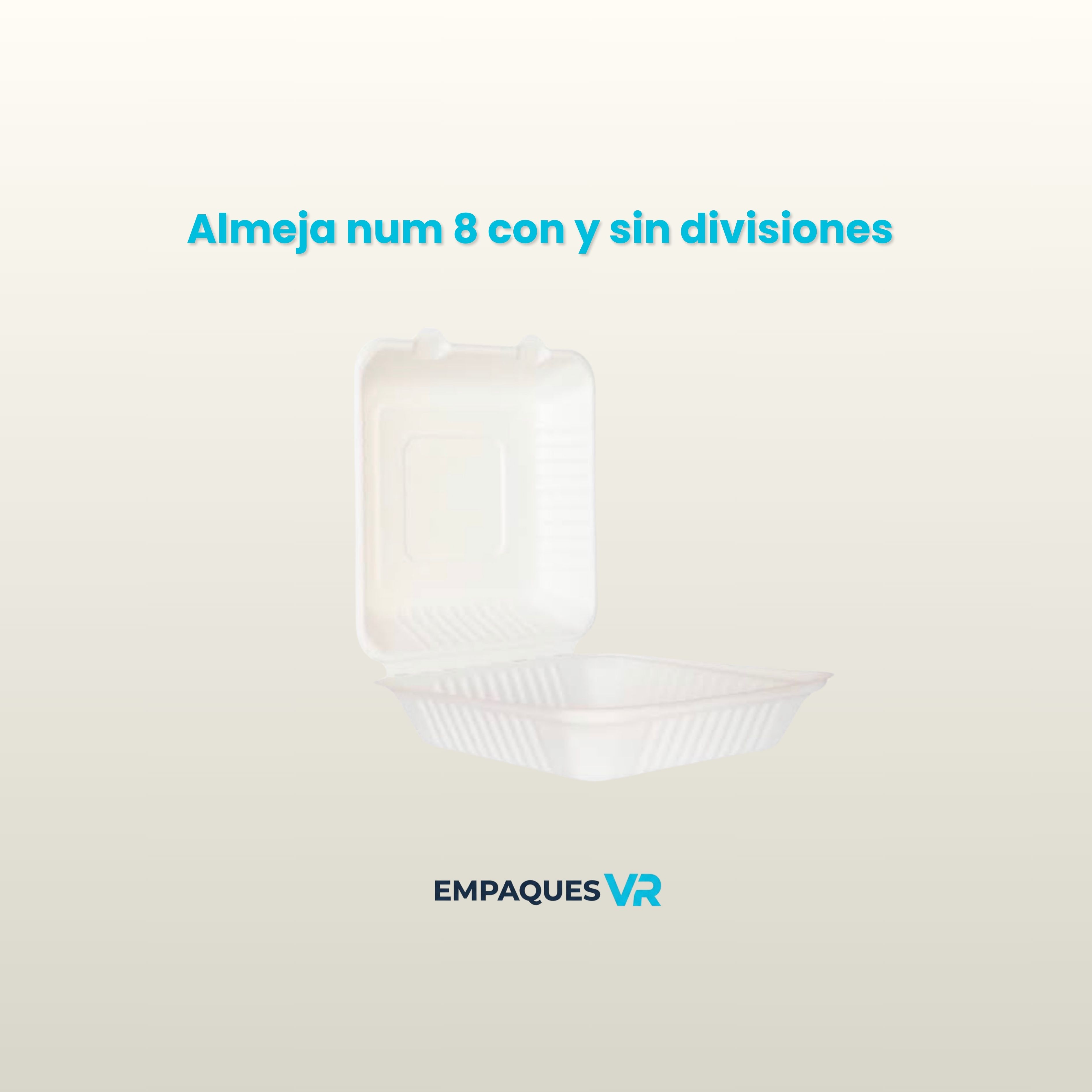 Almeja #8 con y sin divisiones