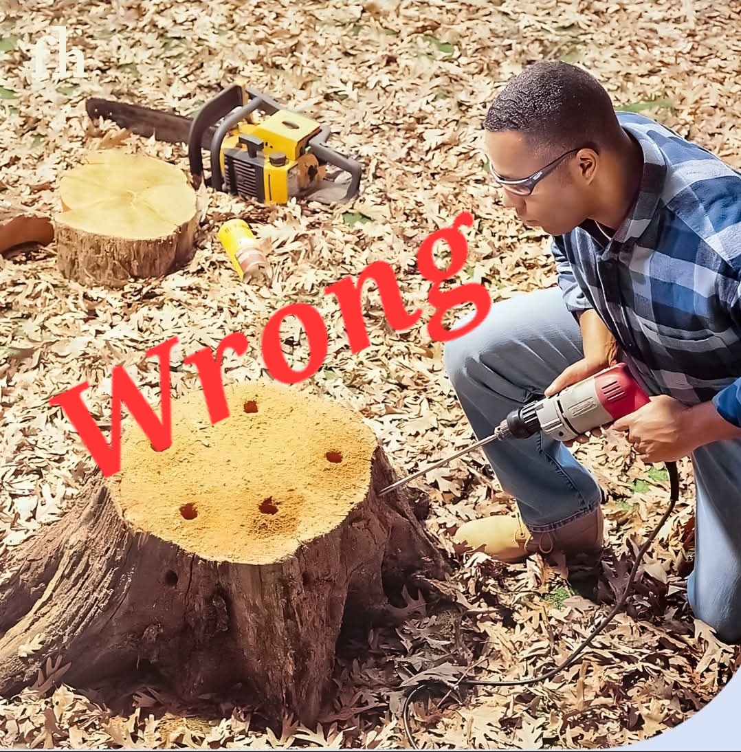 Residential stump removal 