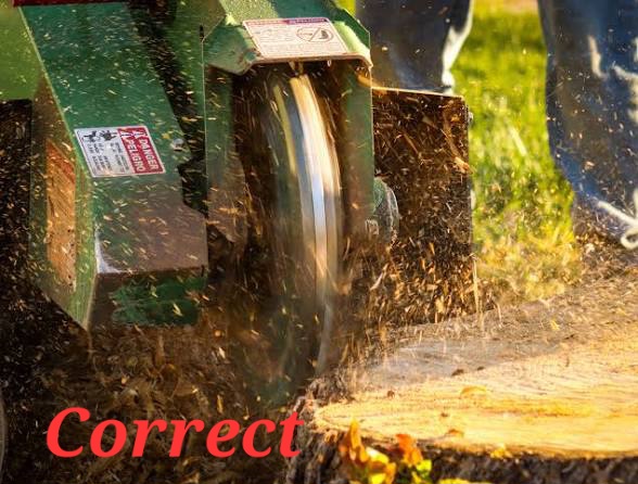 Residential stump removal 