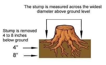 Residential stump removal 